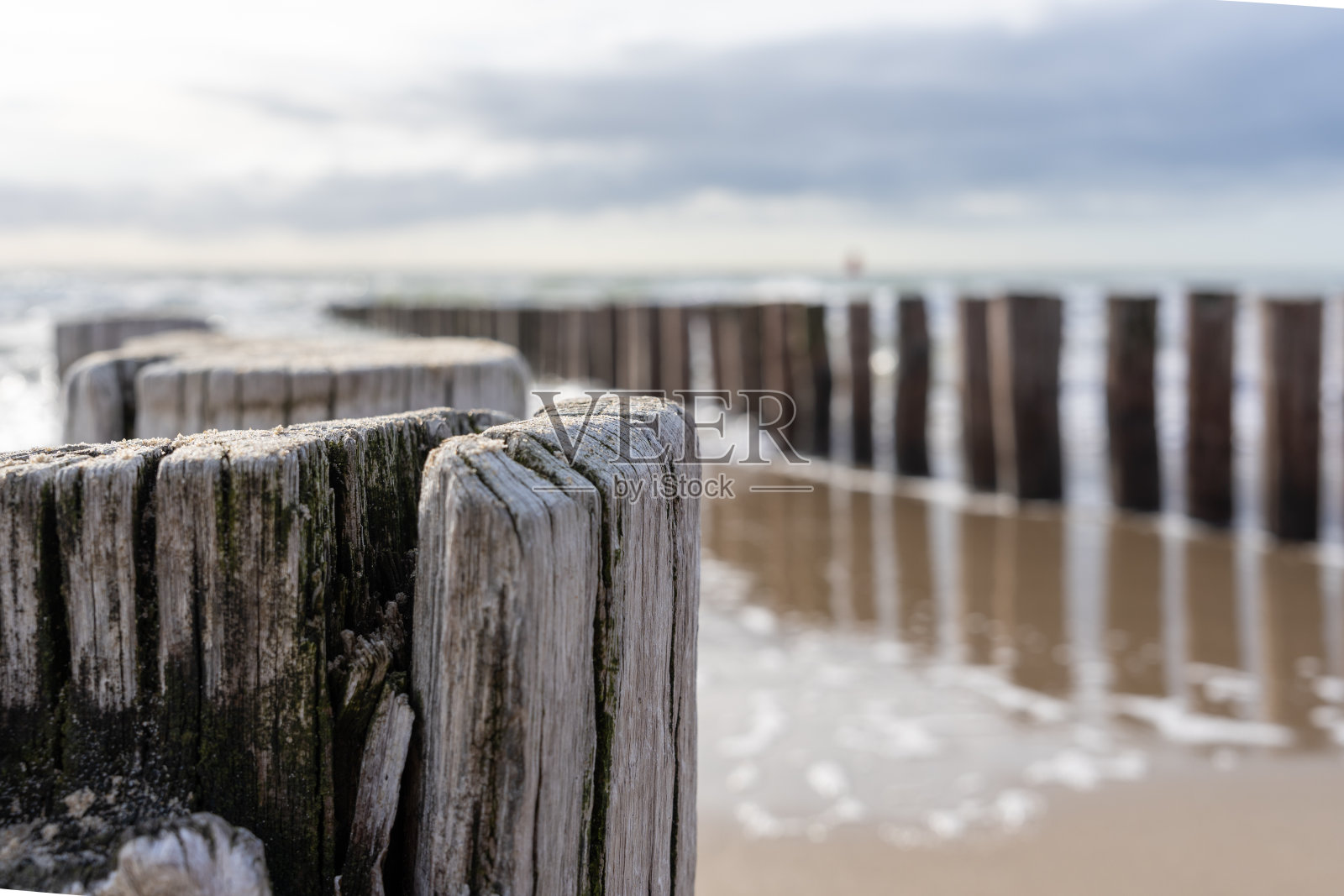 荷兰海滩上的木柱照片摄影图片