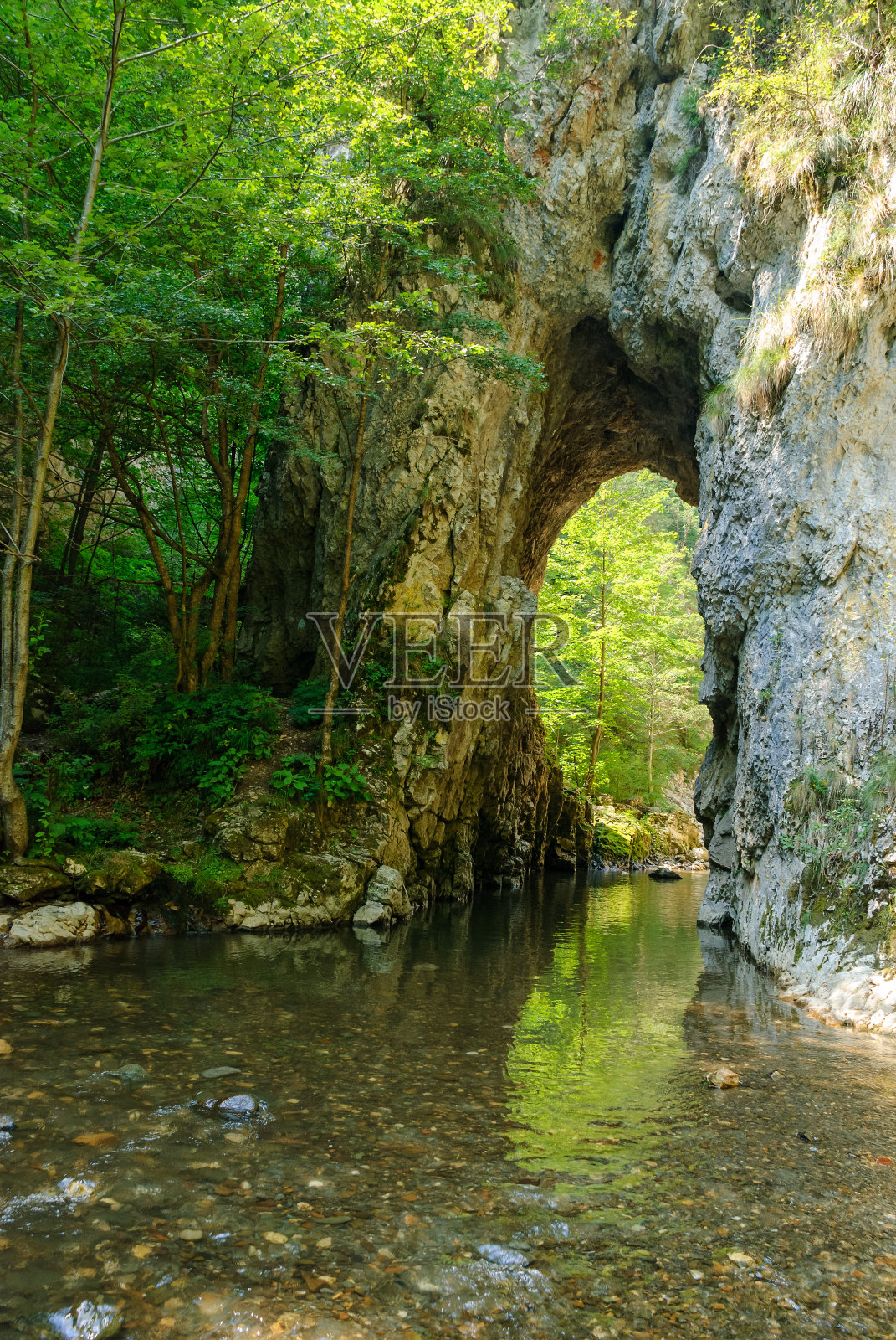 峡谷的山涧:流过被垂直石墙狭窄的峡谷的山涧在阳光明媚的夏天，罗马尼亚的Ramet峡或Cheile Rametului的尖锐的岩石悬崖。天然的隧道照片摄影图片