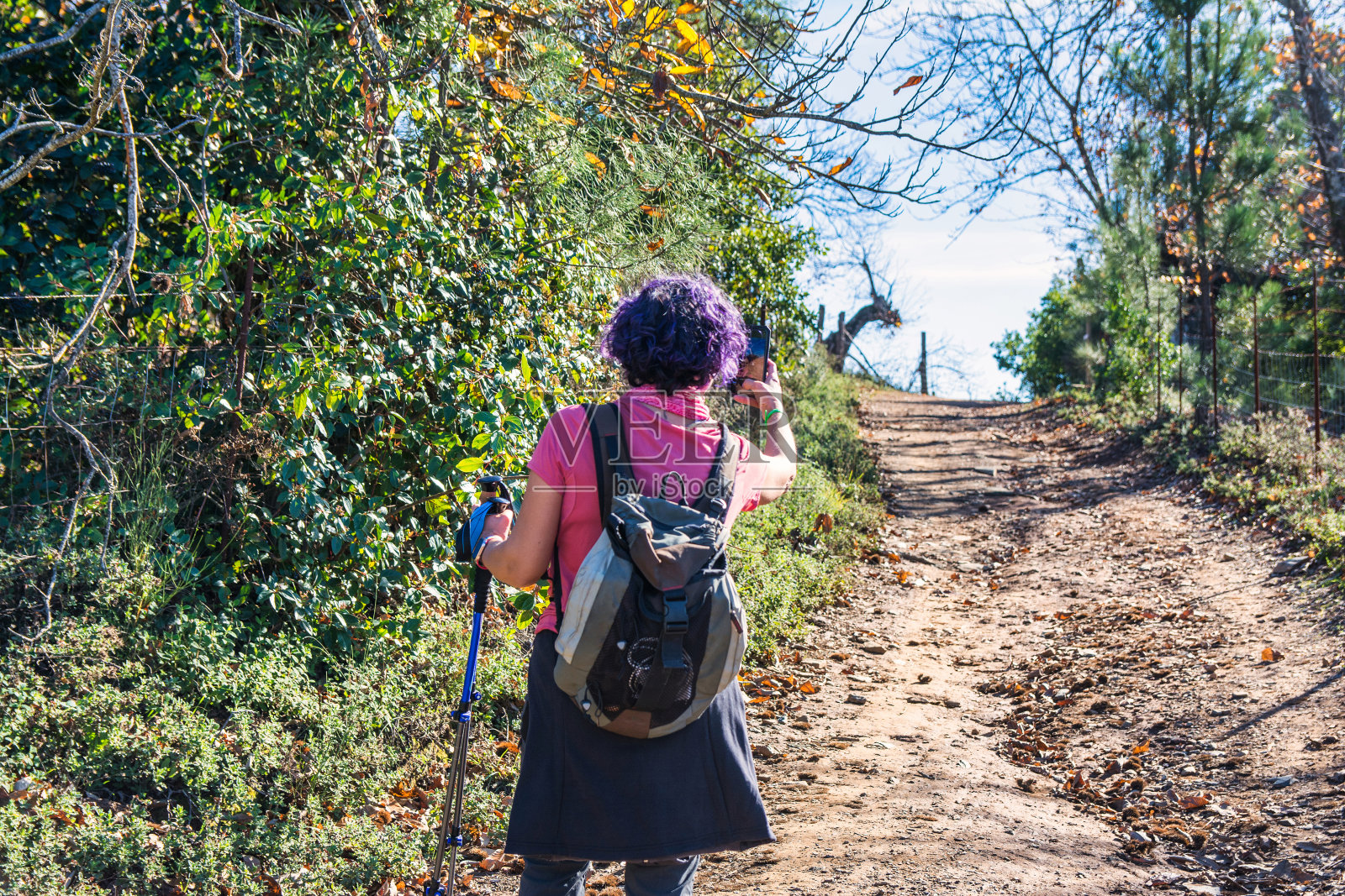在森林里徒步旅行的女子用她的智能手机拍了一张照片。户外活动照片摄影图片