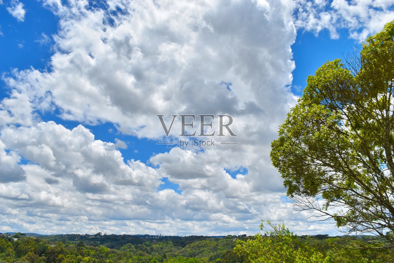 库里蒂巴照片摄影图片