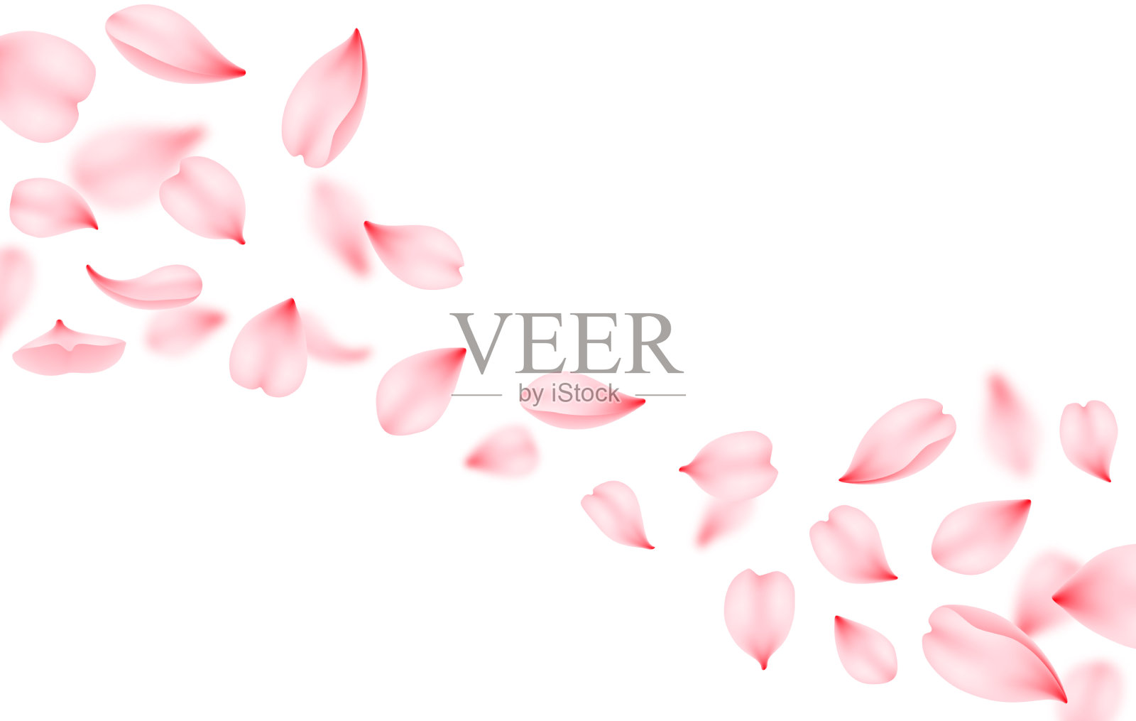 飞行樱花背景粉红色樱桃花瓣插画图片素材