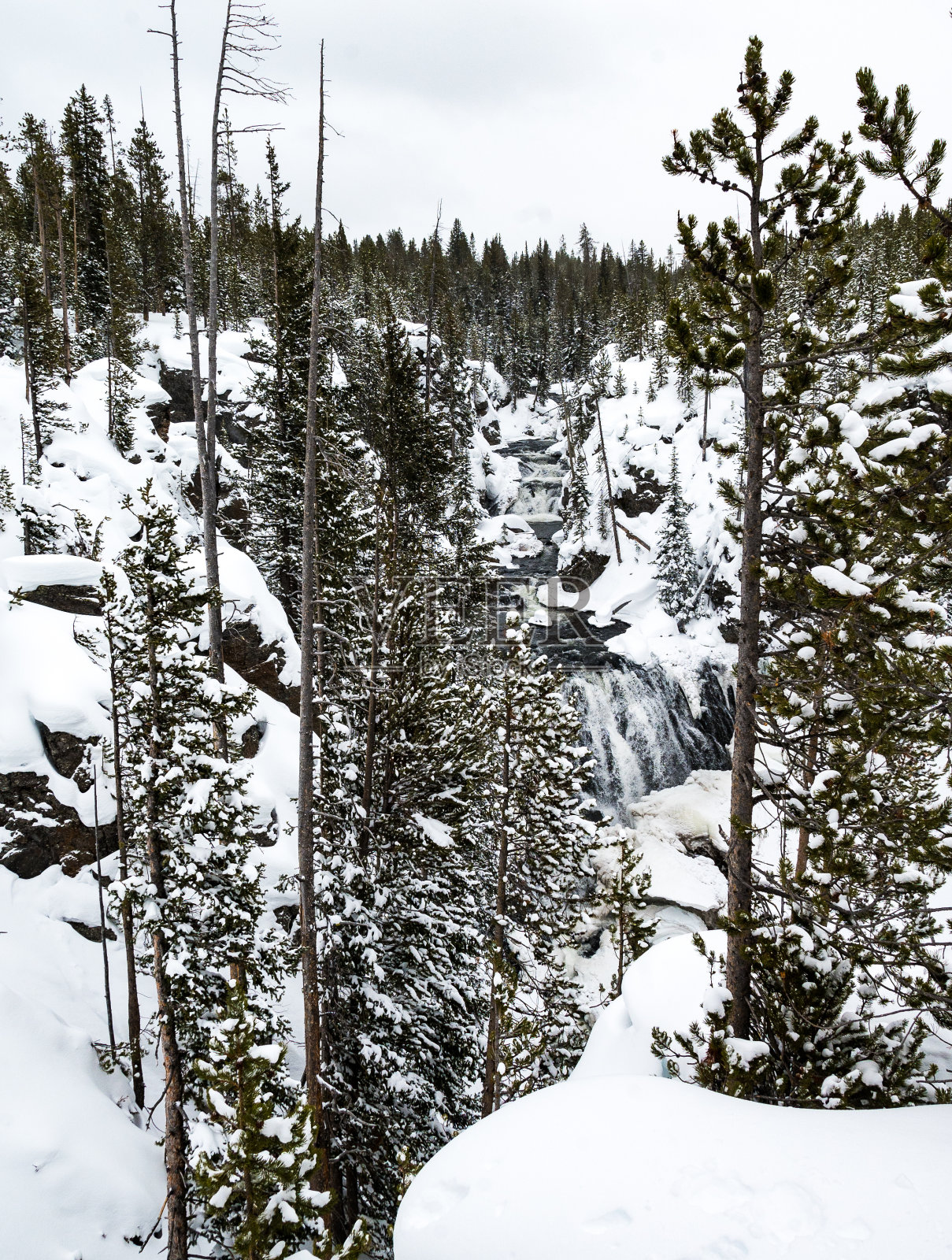 黄石公园照片摄影图片