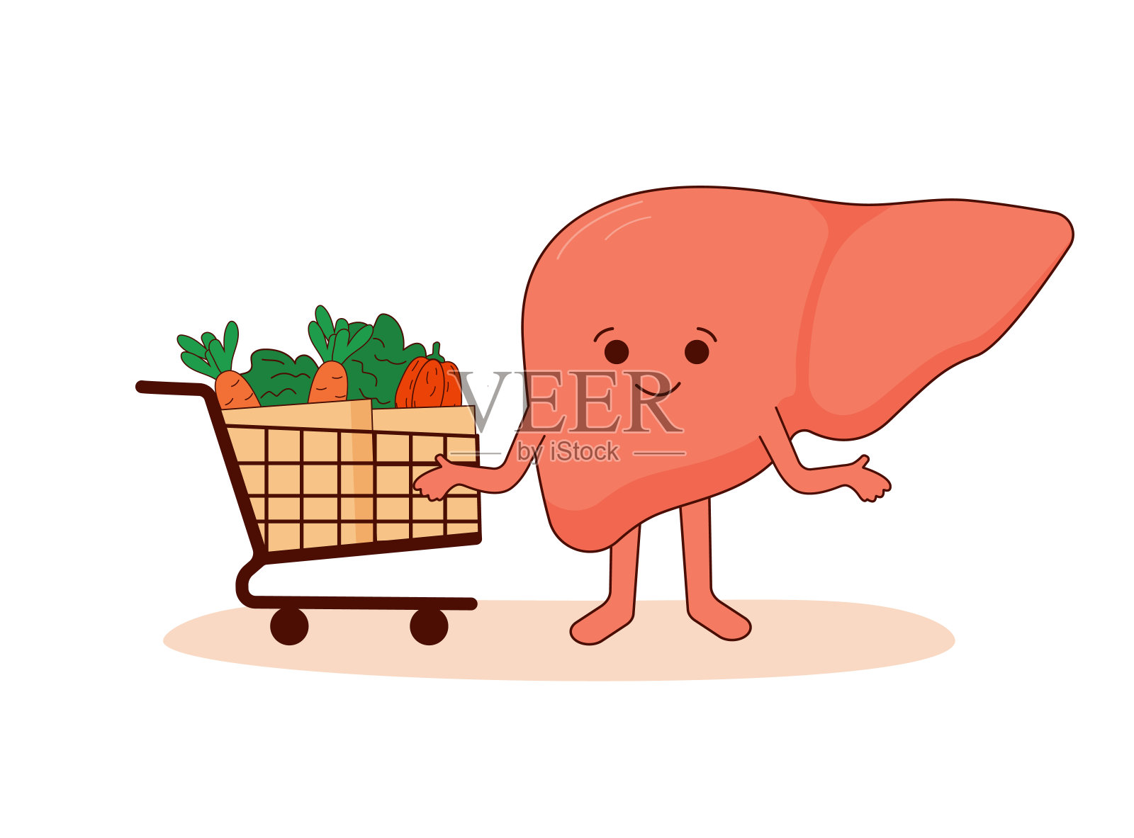 卡通肝配健康蔬菜，呵护肝脏健康。爱你的肝脏宣传月插画图片素材