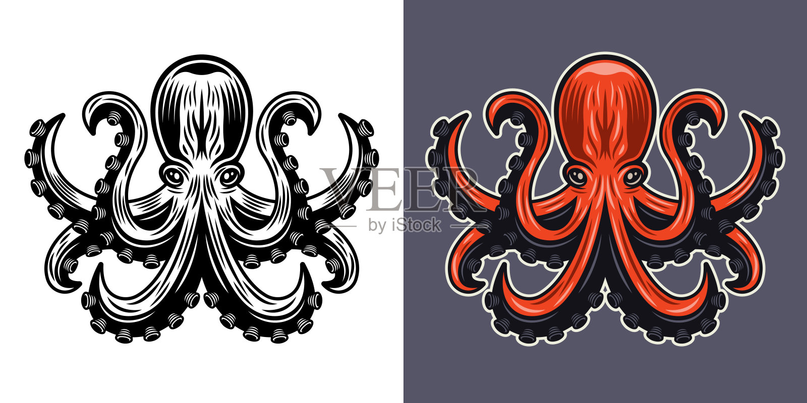 章鱼在两种风格上单色的白色和彩色的灰色背景矢量插图插画图片素材