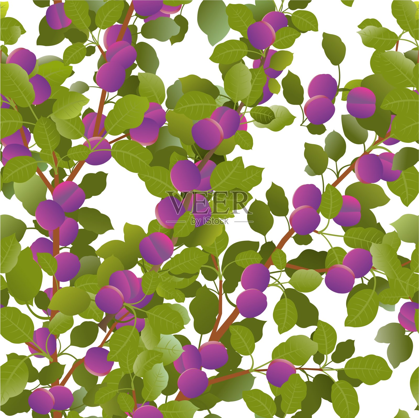 枝干梅树果实成熟美丽。可食用的园林植物。无缝图案组成。树枝上有叶子和叶子。孤立在白色背景上。向量插画图片素材