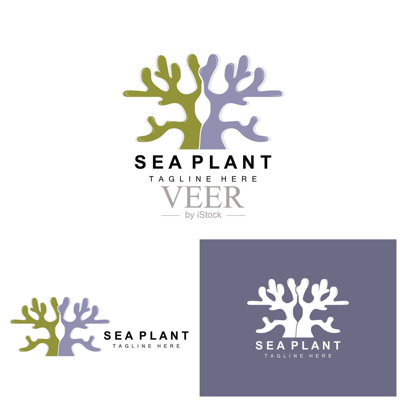 海藻标志，海洋植物矢量设计，杂货和自然保护设计元素图片