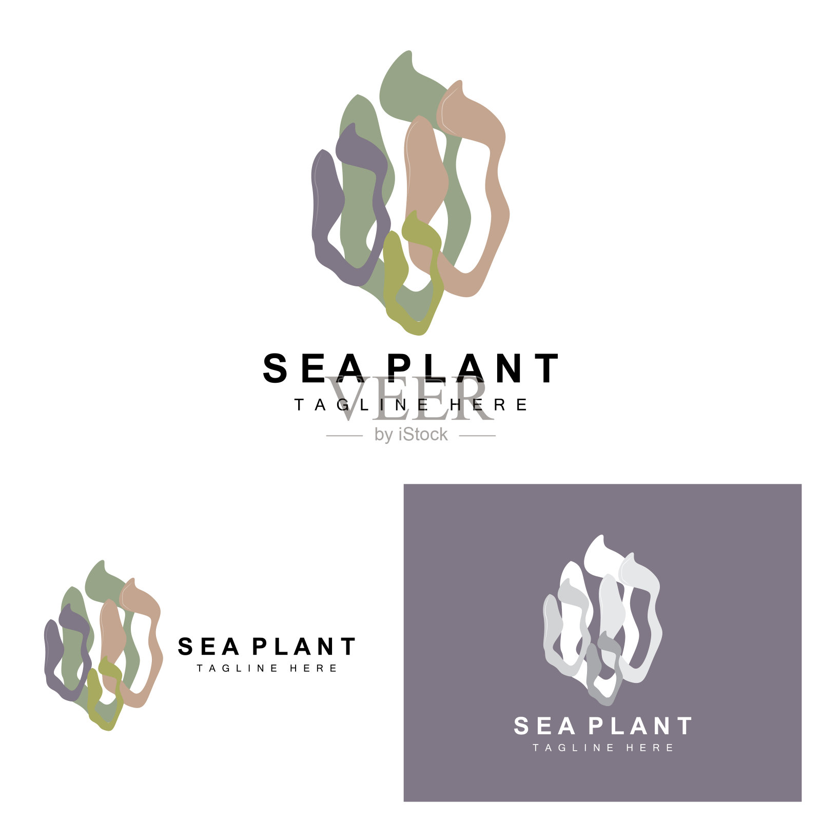 海藻标志，海洋植物矢量设计，杂货和自然保护插画图片素材