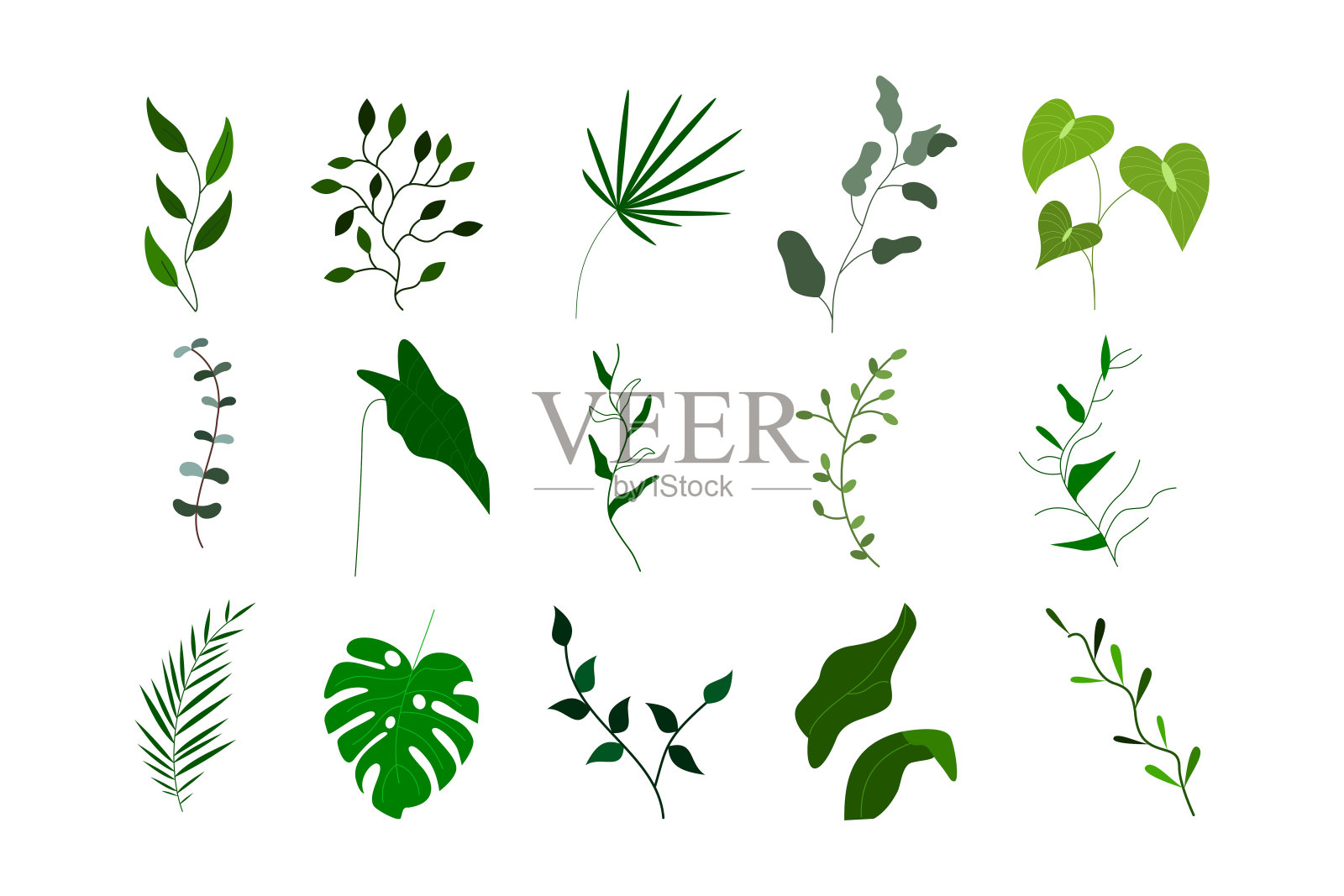 一套美丽的热带树叶隔离的自然设计元素插画图片素材