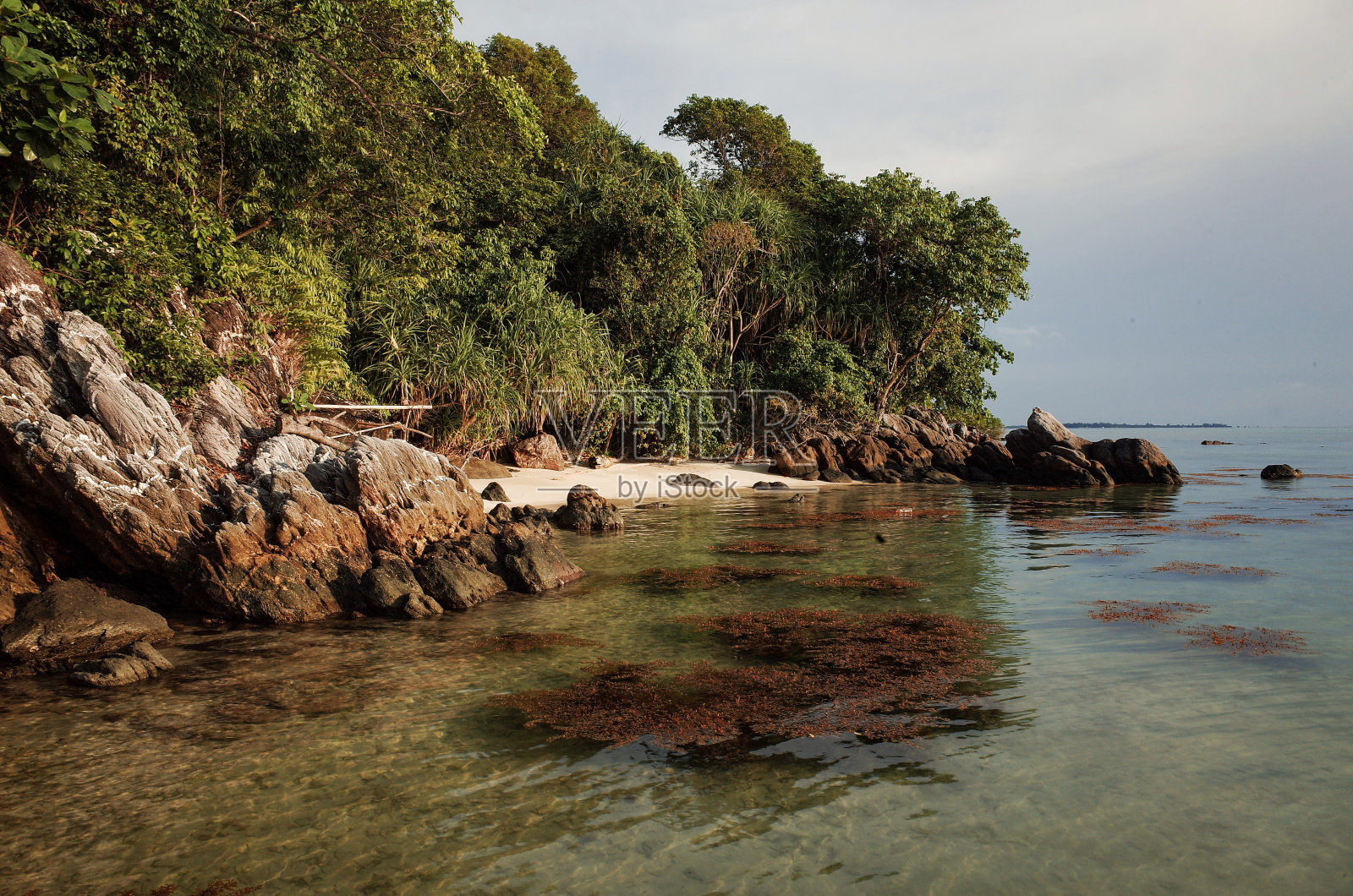 乌jung Gelam泳滩详情(08)照片摄影图片