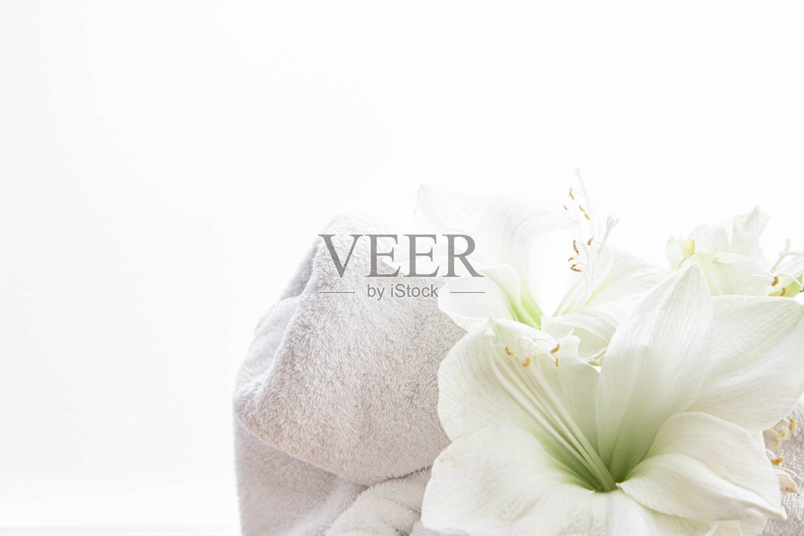 特写，白色背景上的百合花和毛巾被隔离开来。照片摄影图片