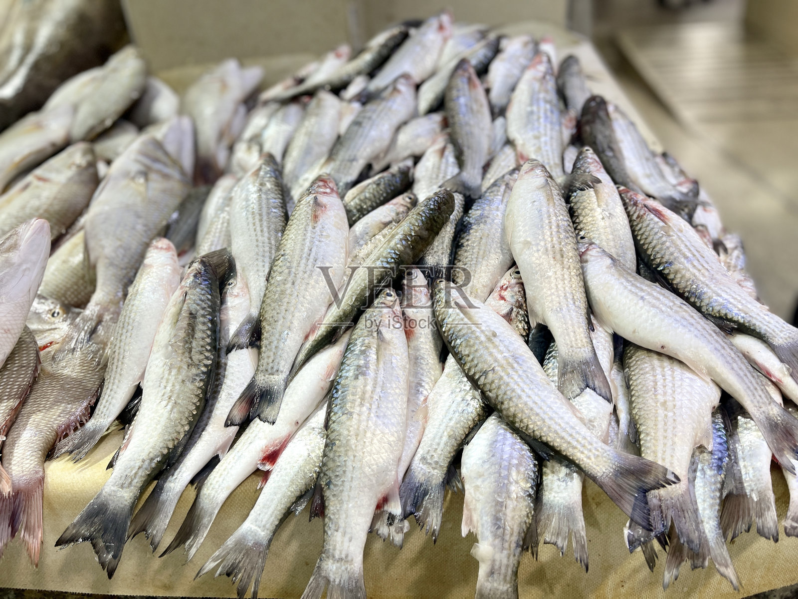 科威特露天市场：鱼、蔬菜和水果照片摄影图片