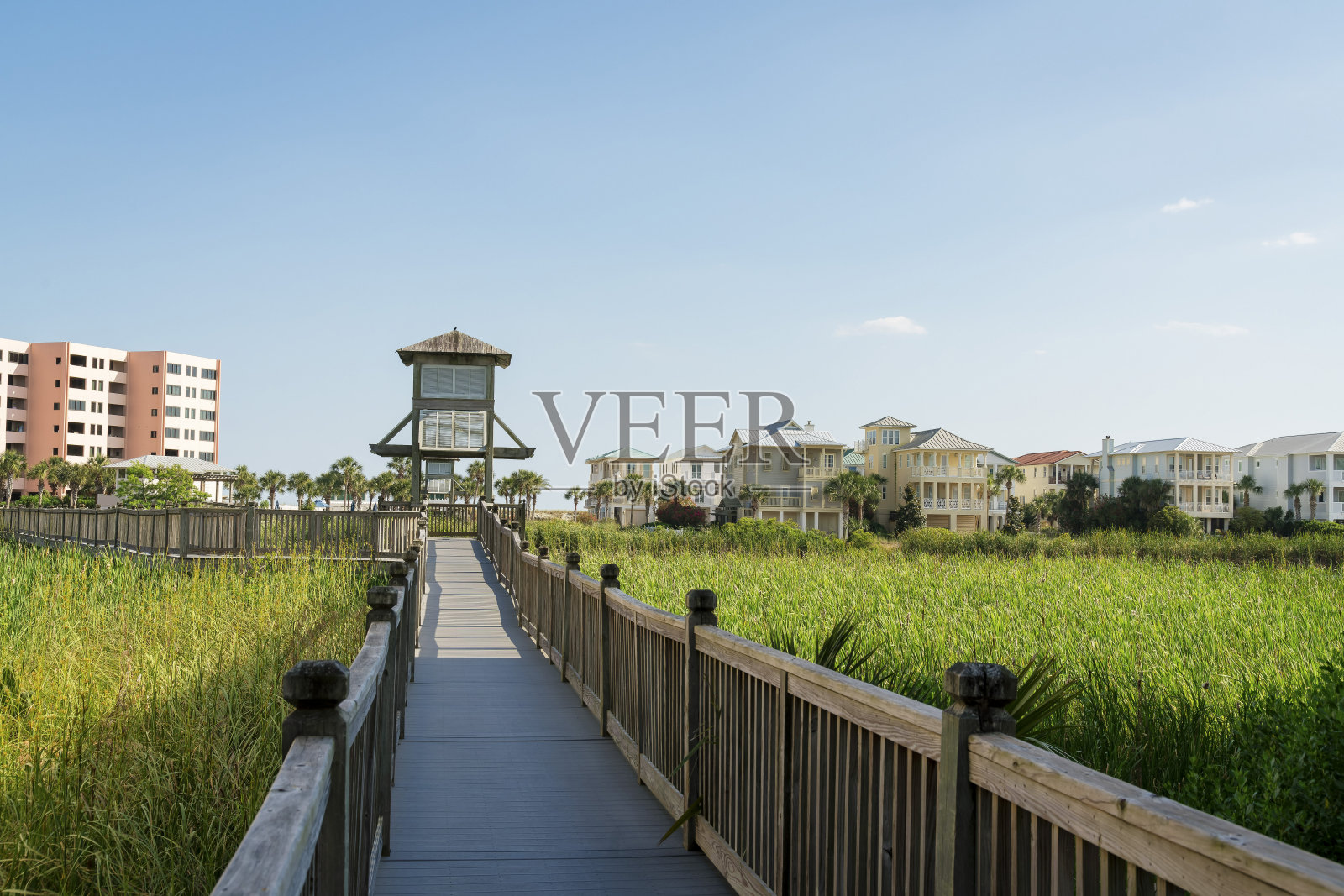 在佛罗里达州德斯汀附近的草地上，有亭子的木板路照片摄影图片