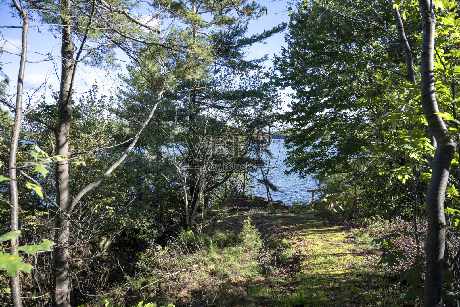 麦当劳岛步道照片摄影图片