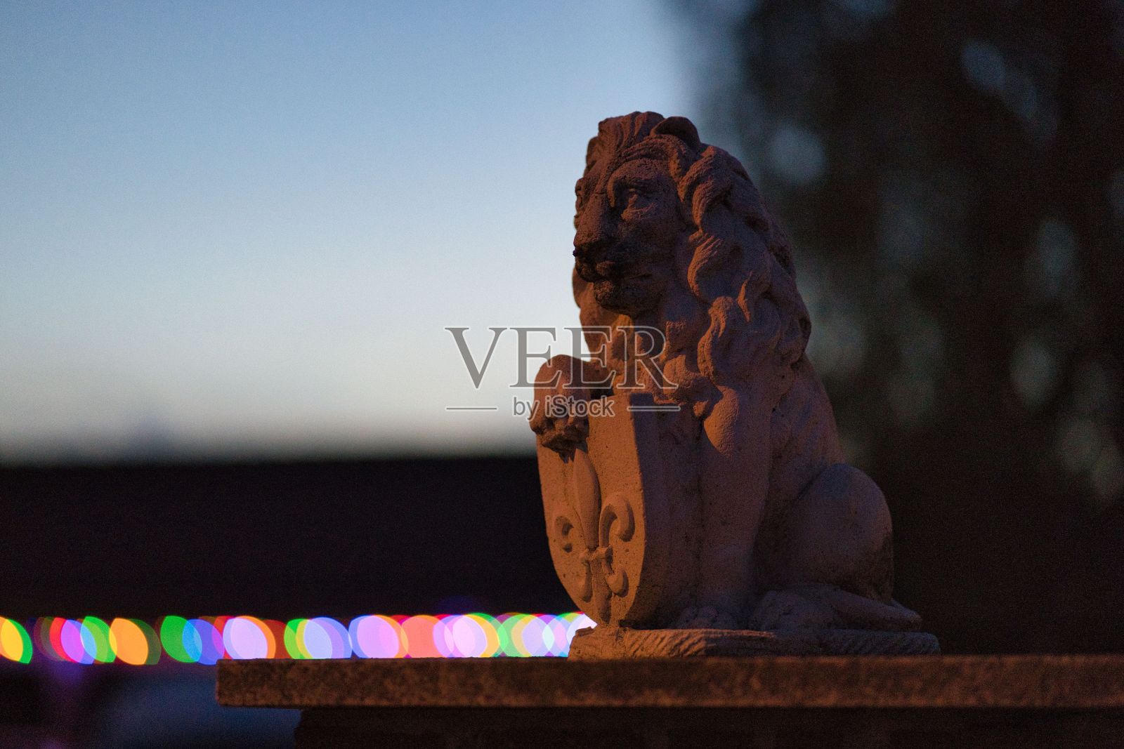 晚上的石狮子雕塑，背景是彩色的散景灯照片摄影图片