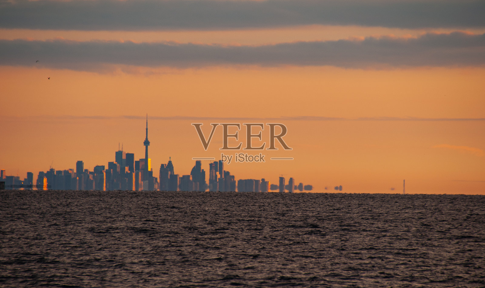 多伦多天际线照片摄影图片