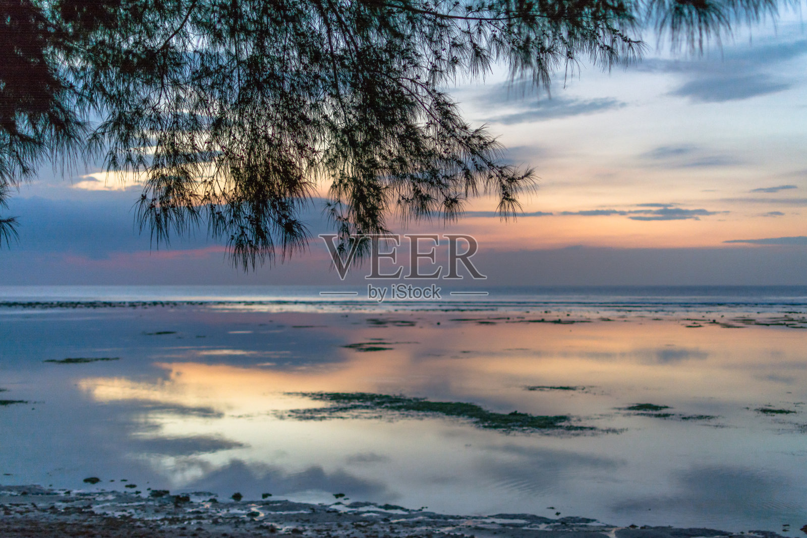 壮丽的日落在吉利岛和树枝照片摄影图片