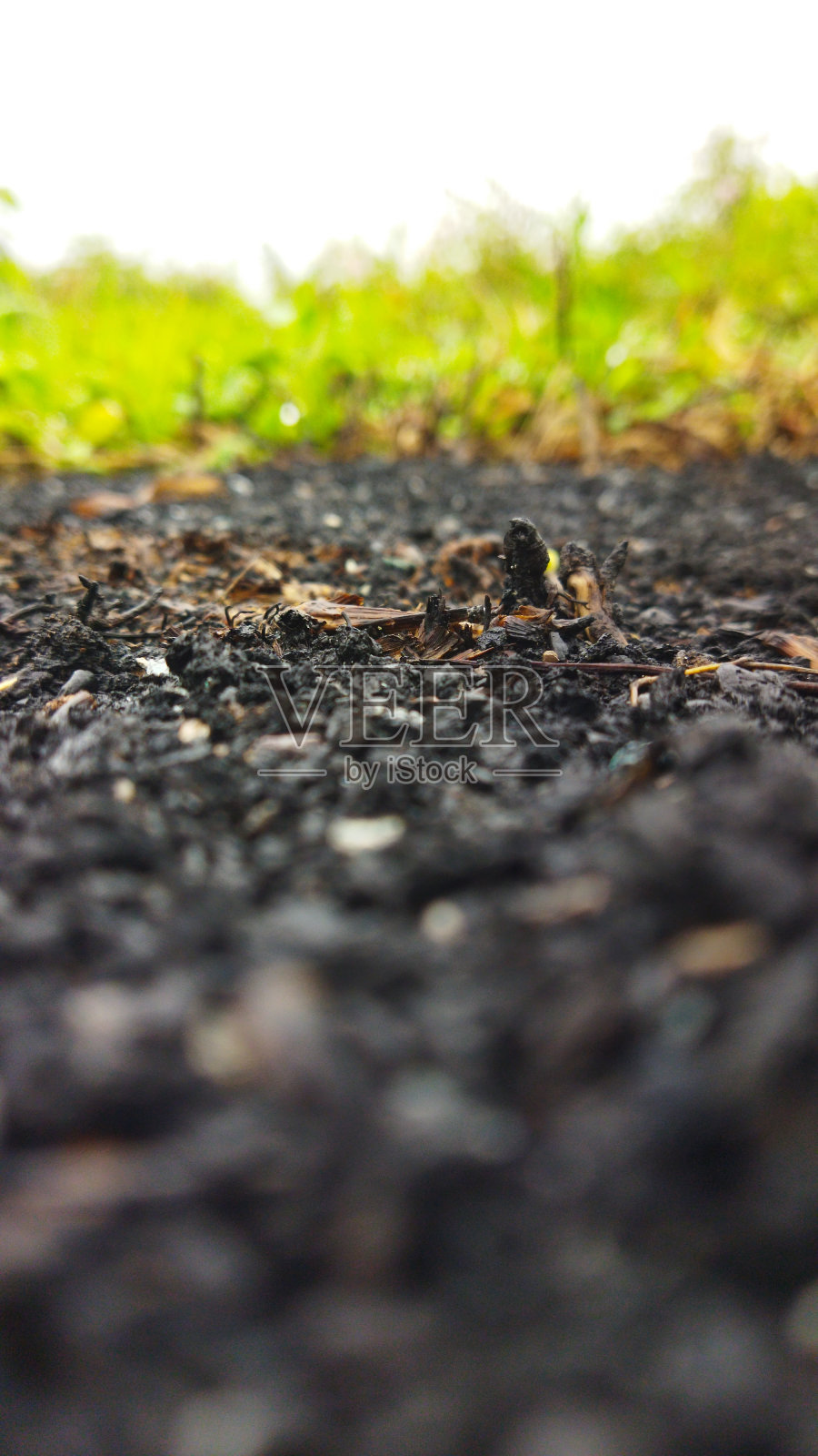 木炭、沙子和杂草照片摄影图片