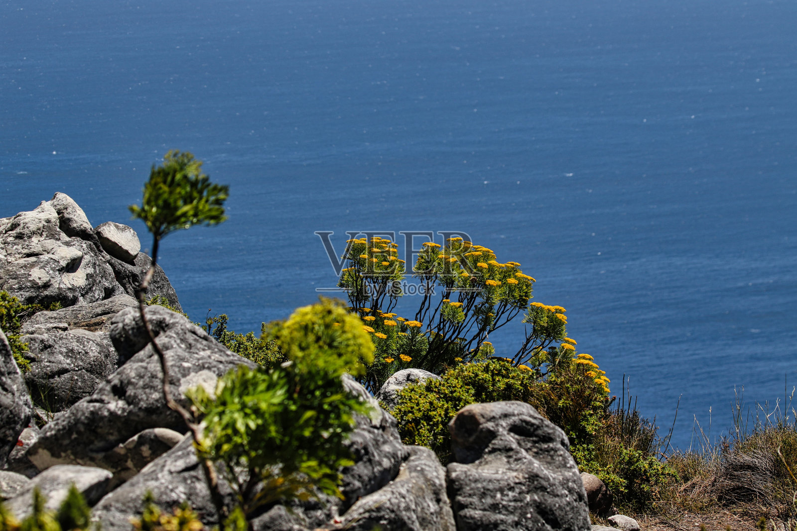 开普敦照片摄影图片