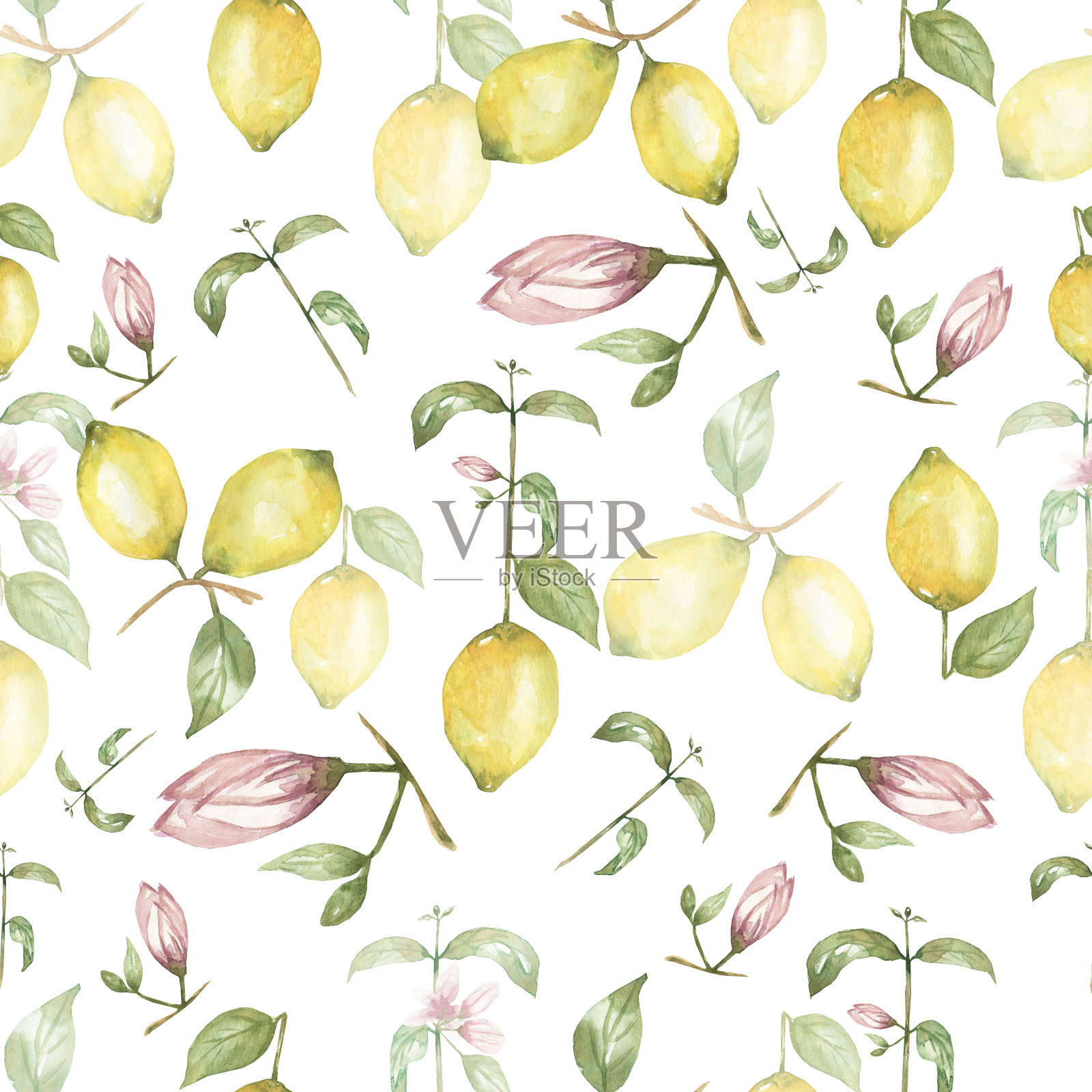 水彩手绘无缝图案。黄色的柑橘类水果。西西里柠檬，叶子和花。热带插图。插画图片素材