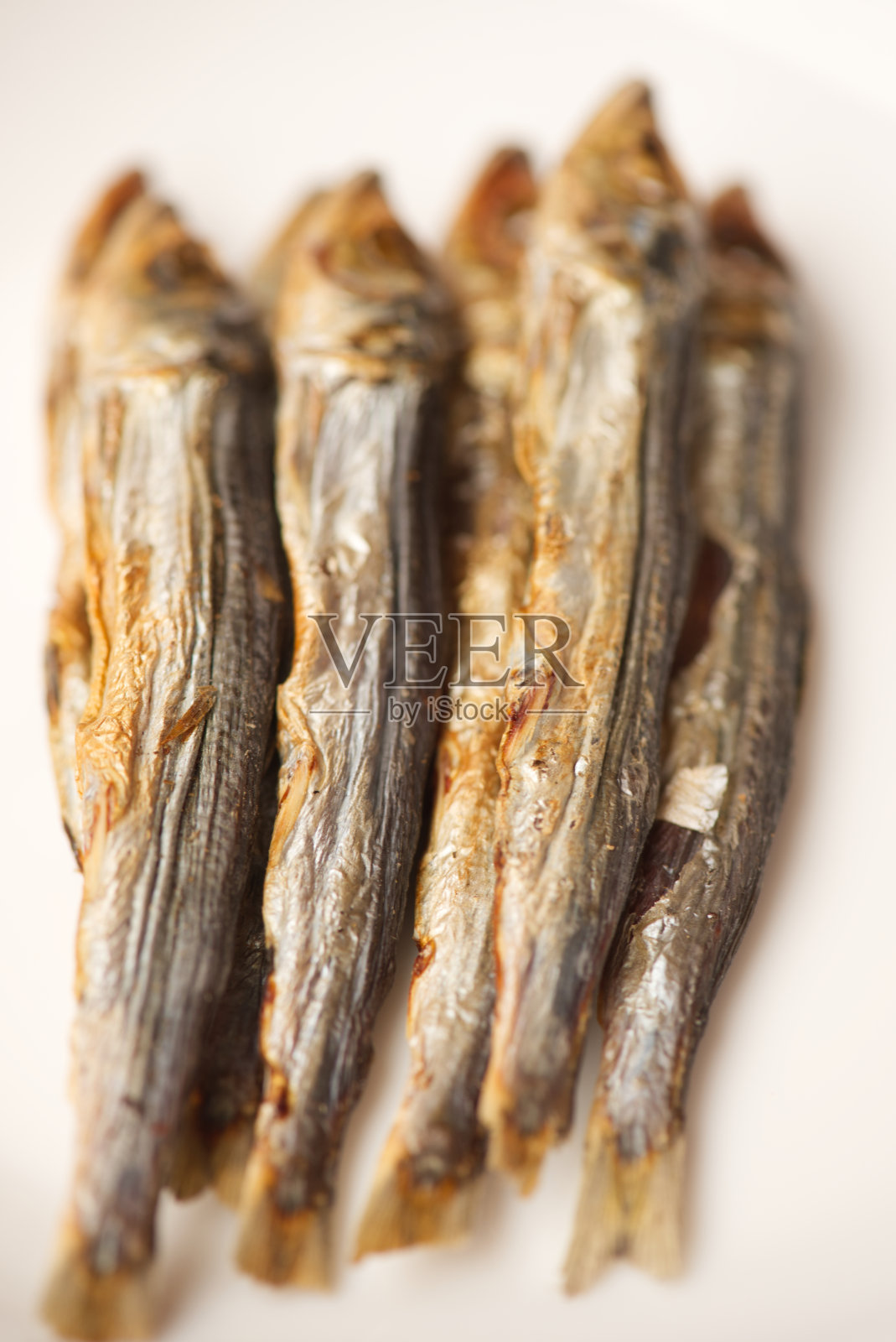 鱼照片摄影图片