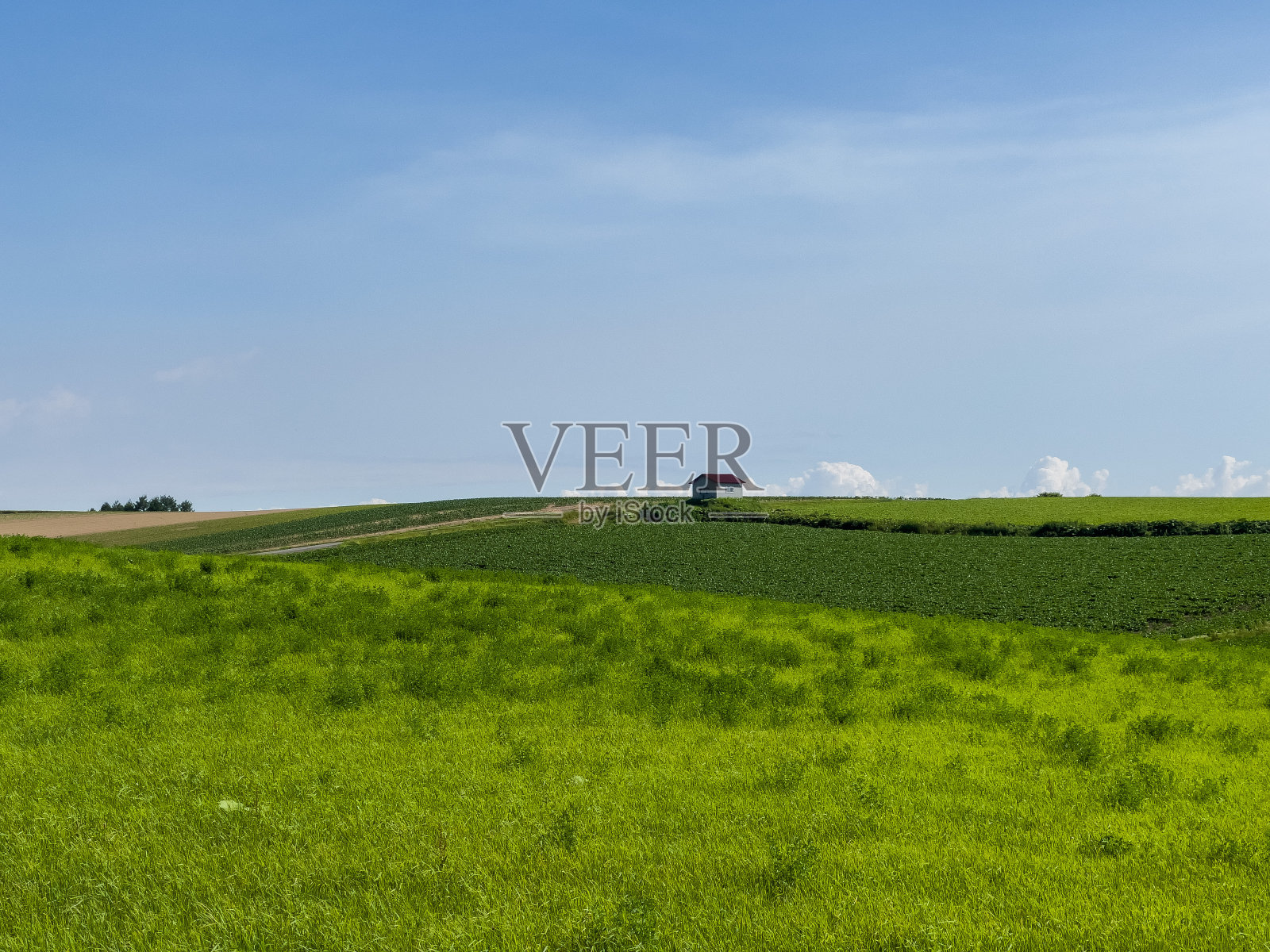 夏天的山和天空，广阔的田野照片摄影图片