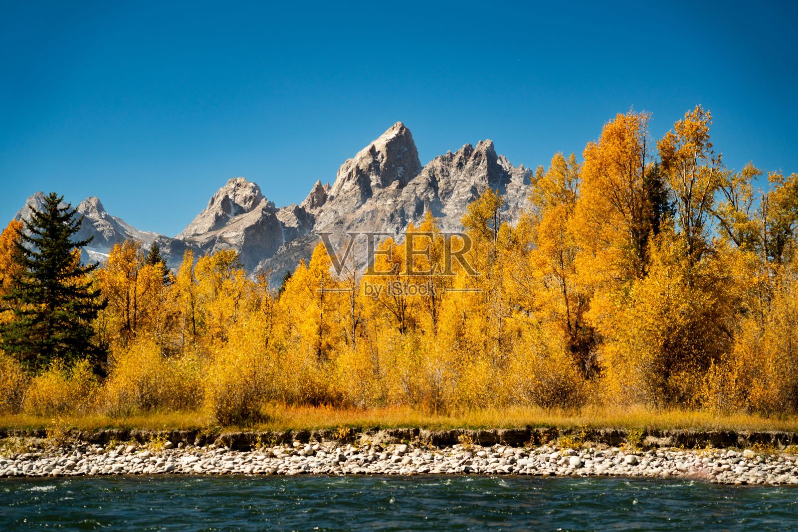 大提顿国家公园的落基山脉和森林的风景照片摄影图片
