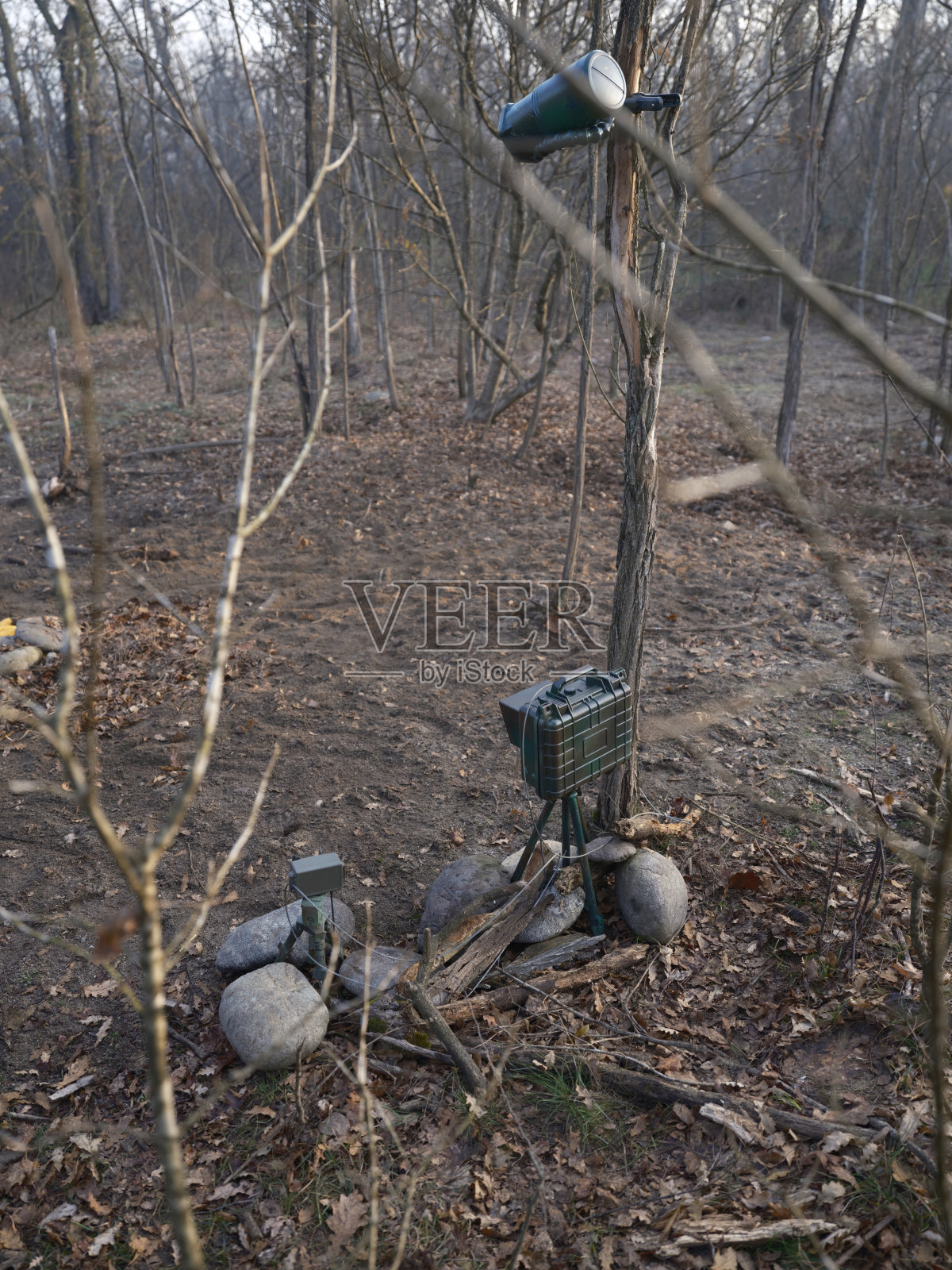 相机陷阱照片摄影图片