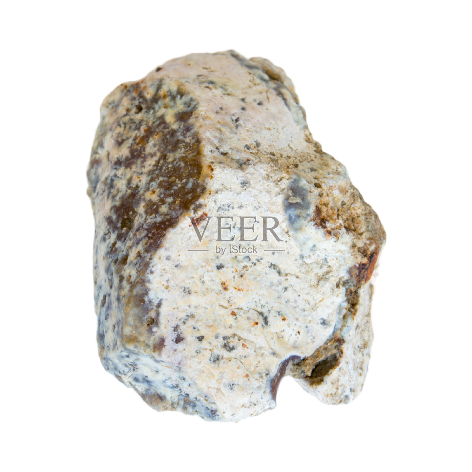 白色背景上的原蛋白石照片摄影图片