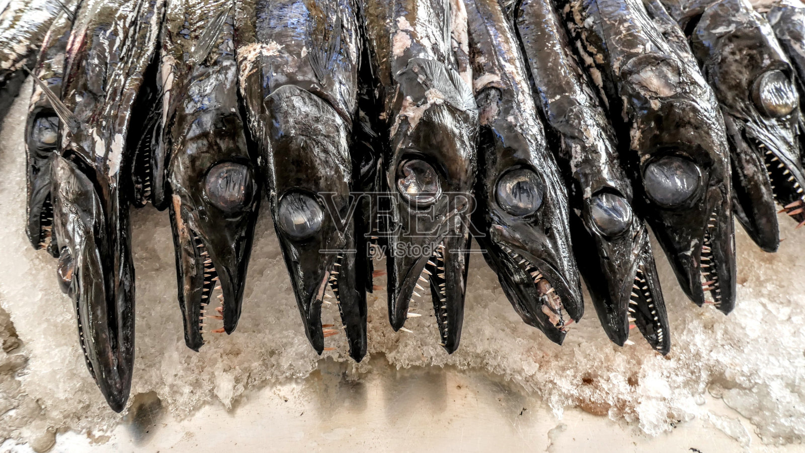 葡萄牙丰沙尔农贸市场的冰上鱼干特写照片摄影图片