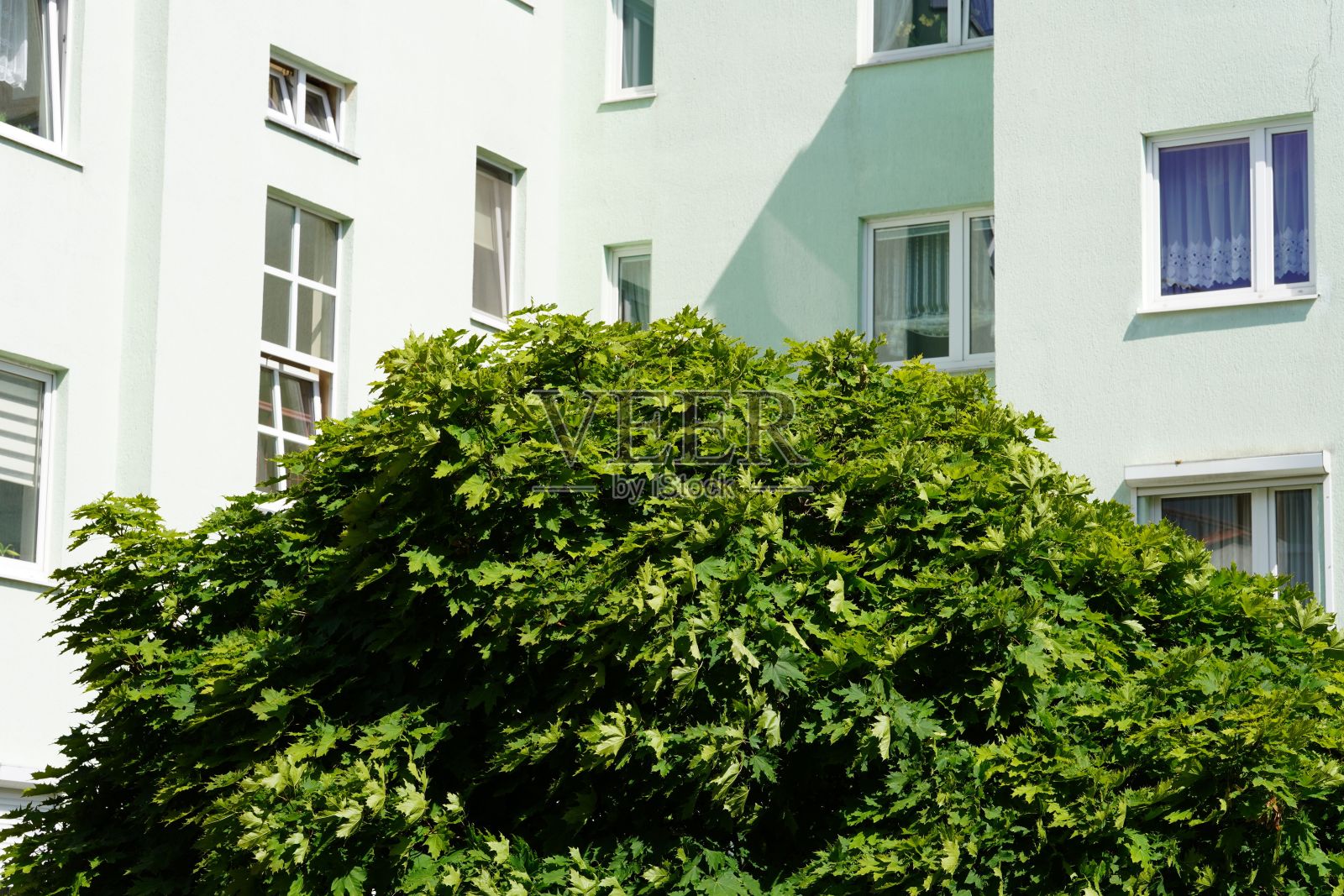 阳光下的住宅建筑立面和绿树照片摄影图片