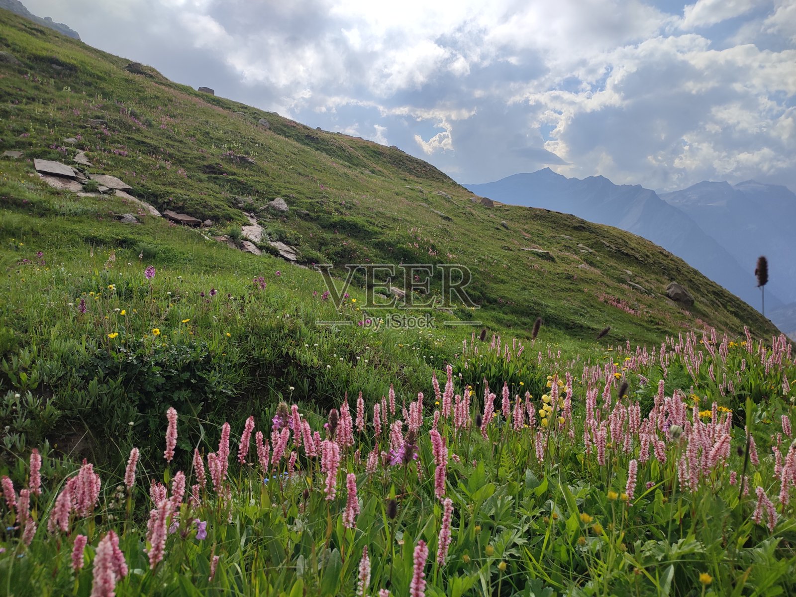 克什米尔山谷，克什米尔的自然和文化的惊人观点照片摄影图片