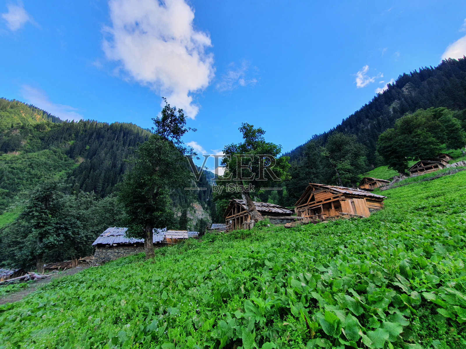 克什米尔山谷，克什米尔的自然和文化的惊人观点照片摄影图片