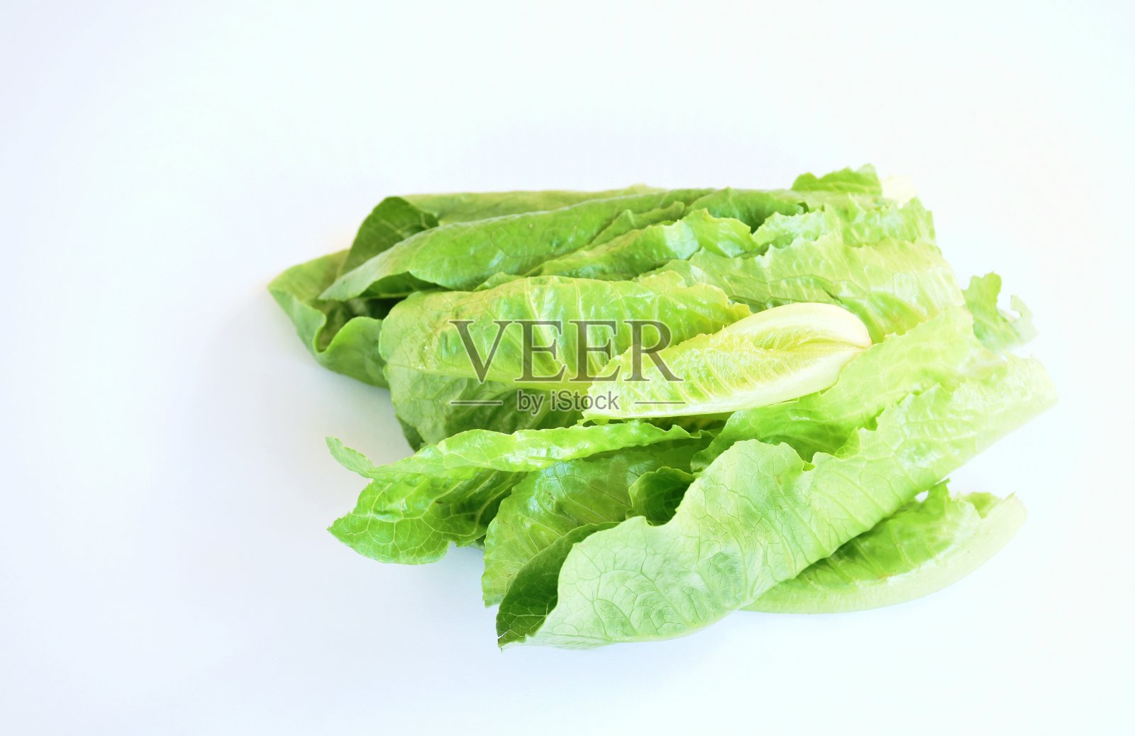 新鲜的绿色生菜蔬菜沙拉，白色背景上有一滴水照片摄影图片