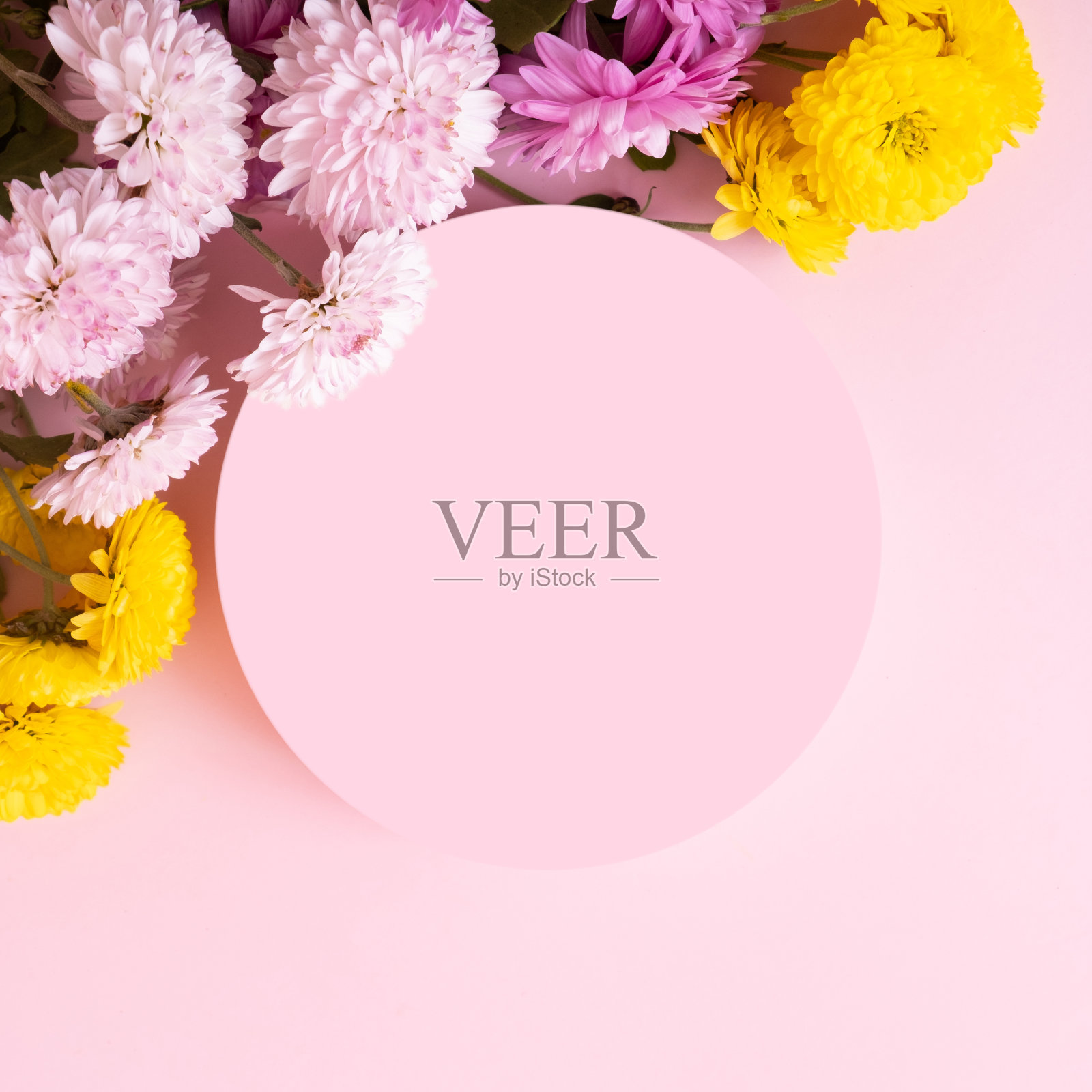 讲台或基座和粉红色背景上的彩色花朵。夏季或春季产品模板或复制空间的文字照片摄影图片