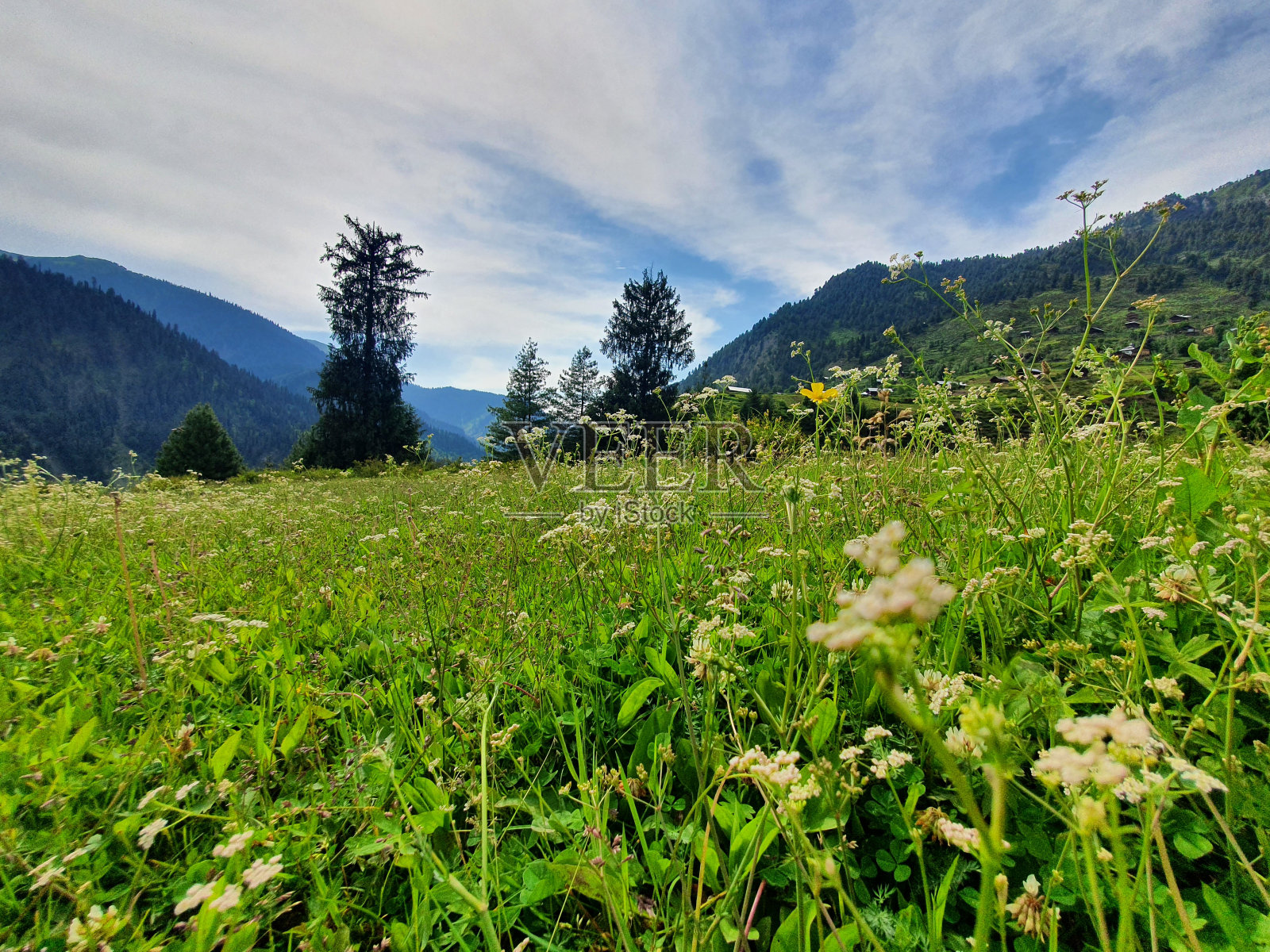 克什米尔山谷，克什米尔的自然和文化的惊人观点照片摄影图片