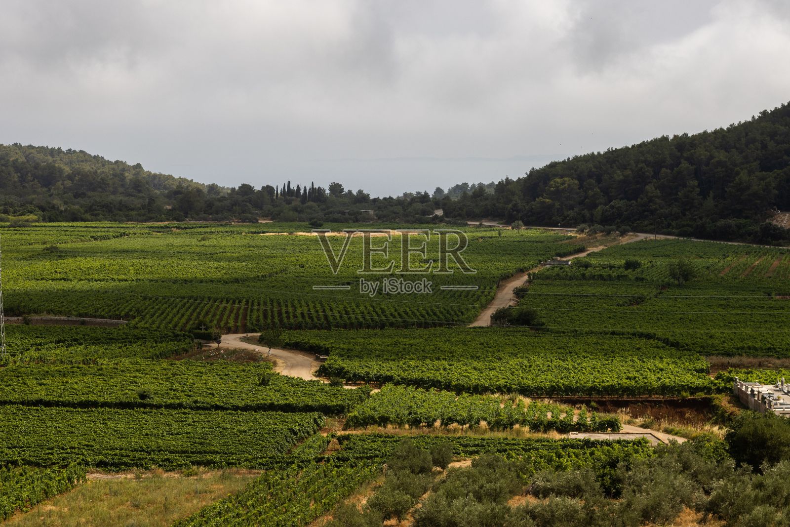 白天森林背景下的农场的美丽镜头。照片摄影图片