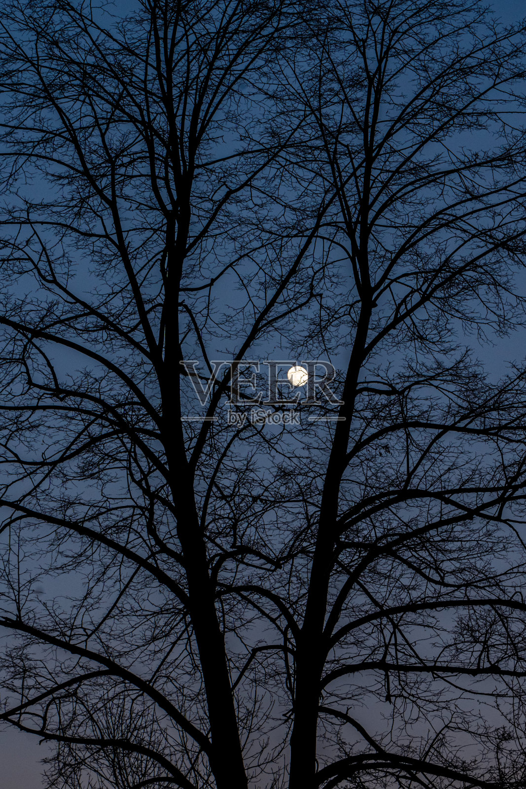 月亮照片摄影图片