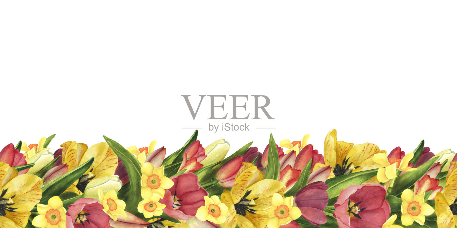 无缝边界与郁金香和水仙花。水彩手绘插图复活节花模板，海报插画图片素材