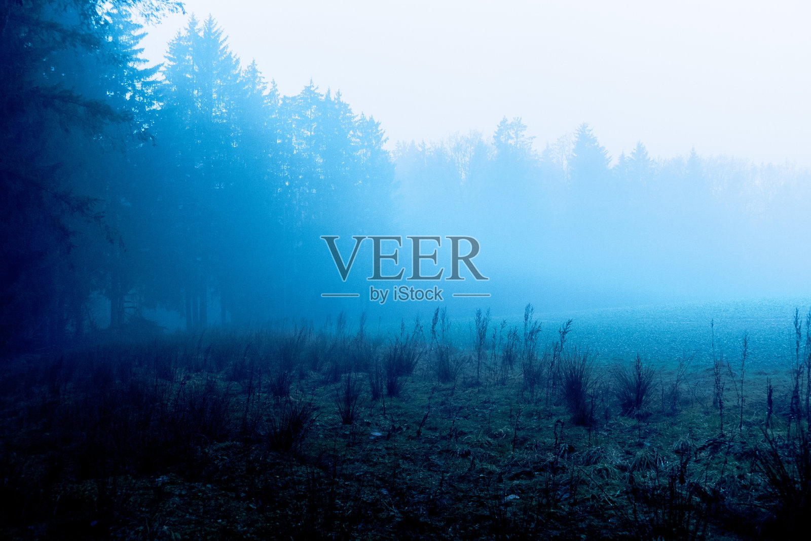 雾中风景照片摄影图片