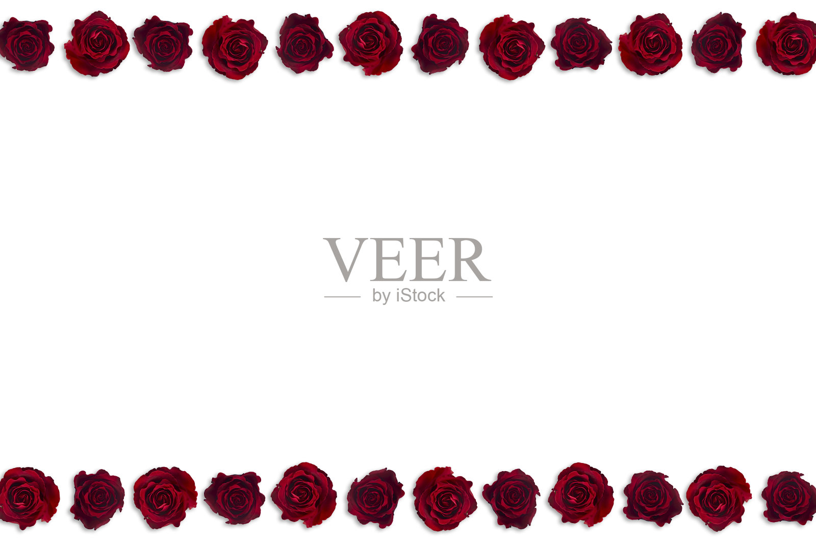 情人节。花组成。框架制成的玫瑰花，背景。照片摄影图片