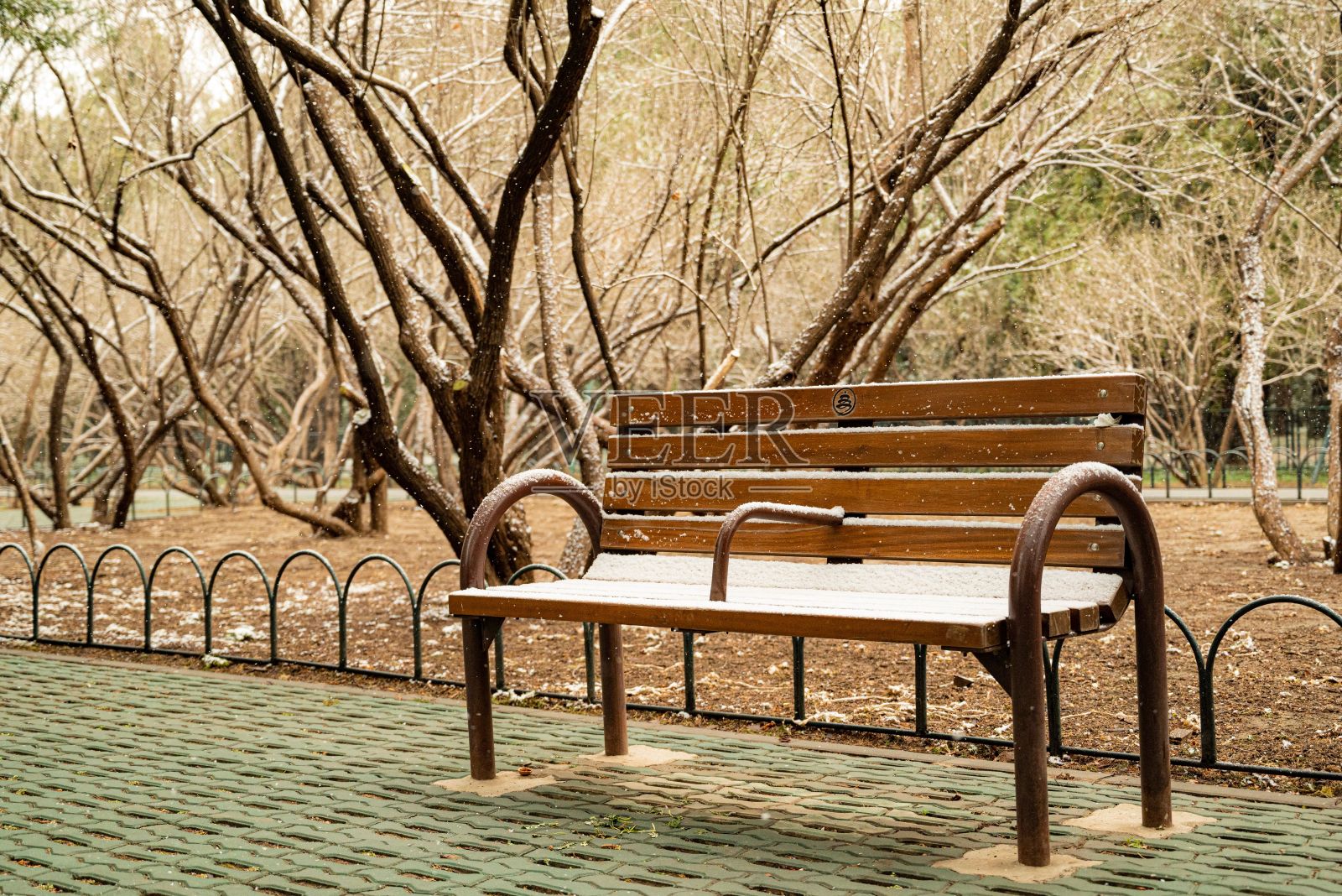 在美丽的花园里，一张木桌的特写镜头照片摄影图片