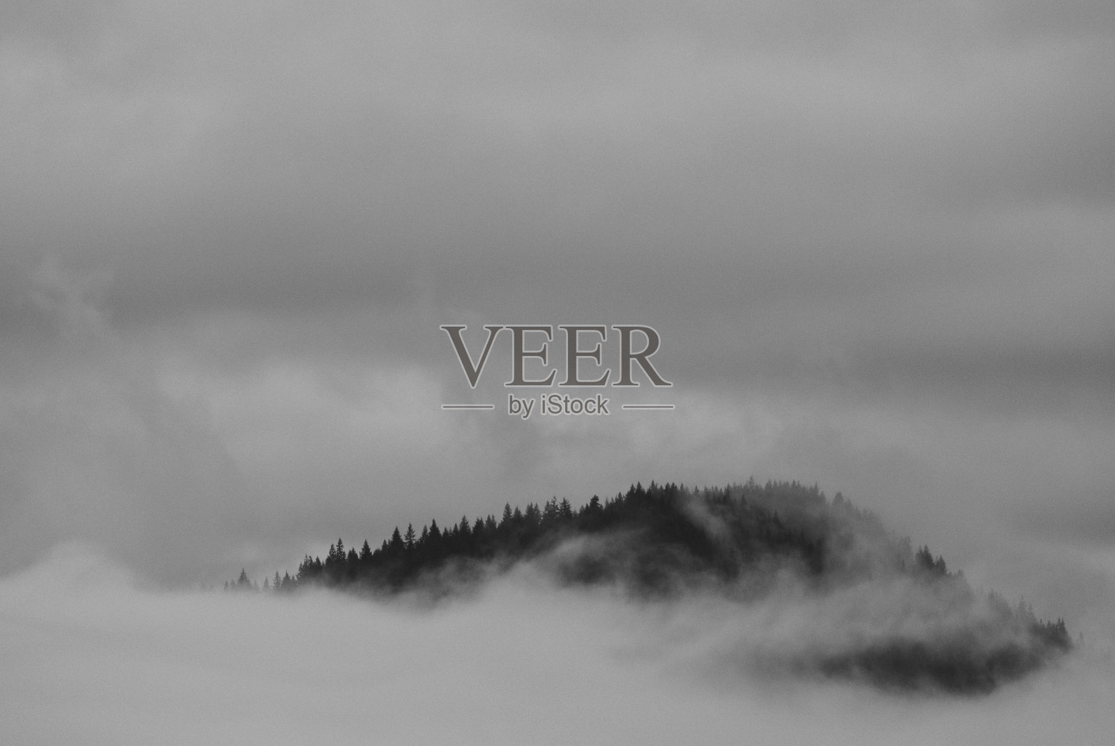 清晨雾蒙蒙的美景照片摄影图片