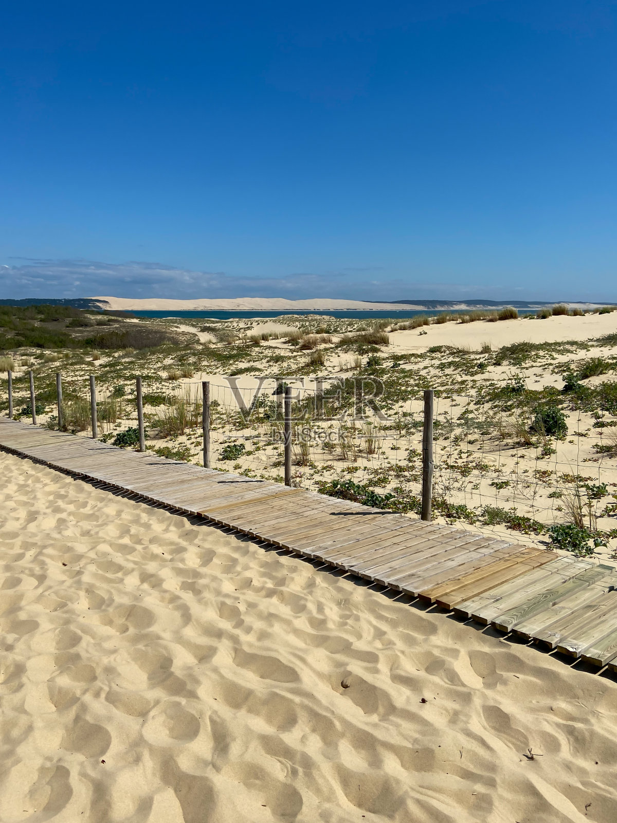 雪貂角海滩照片摄影图片