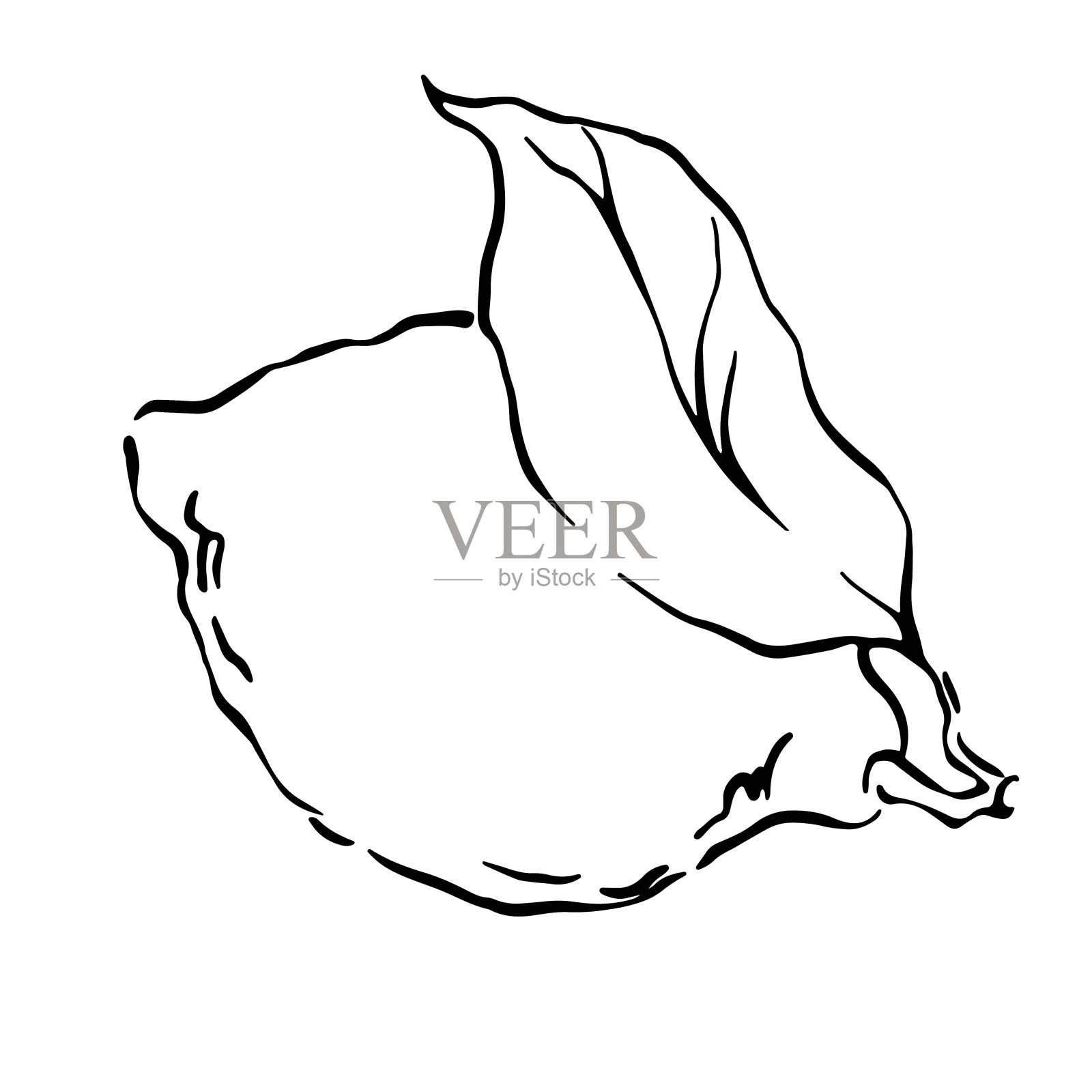 手绘柠檬叶子单色线插图。插画图片素材