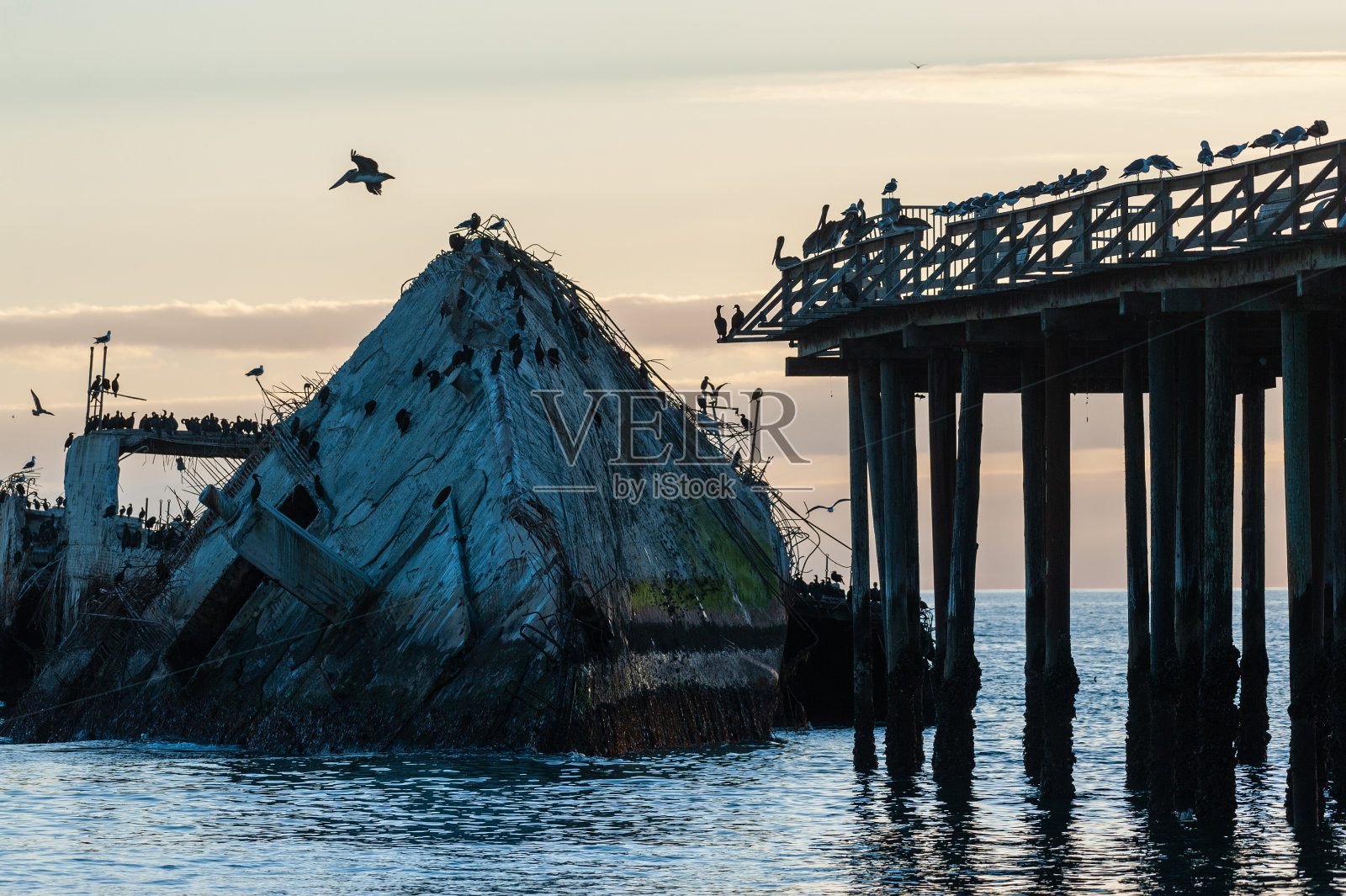 加利福尼亚海岸的海难照片摄影图片