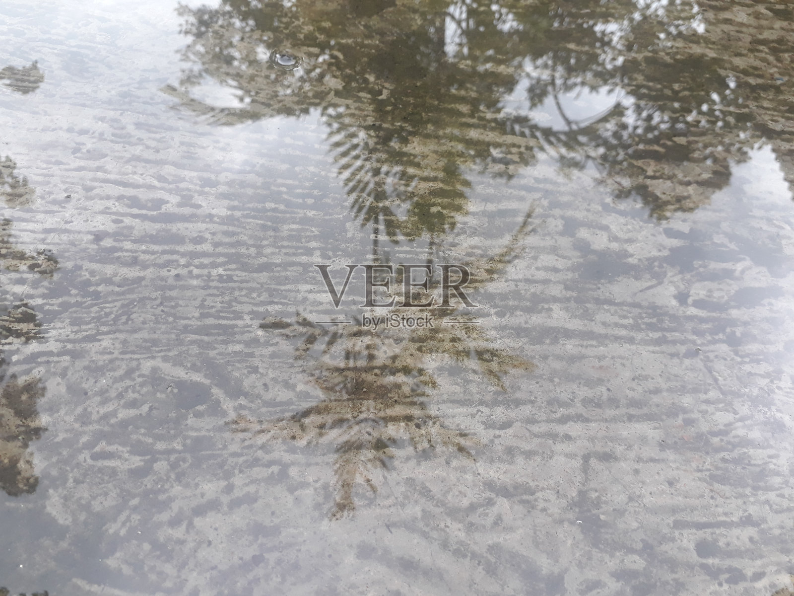 水反射照片摄影图片