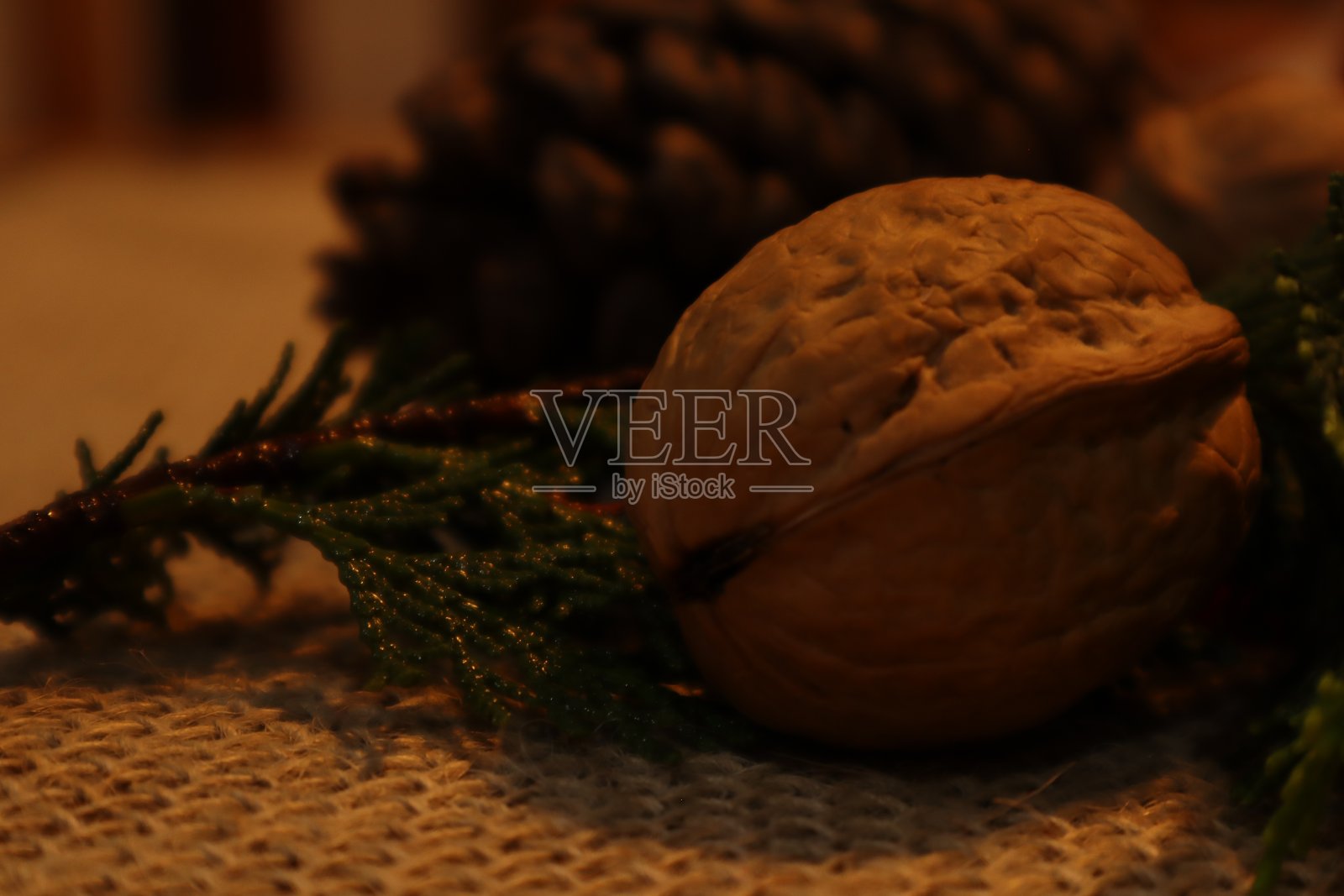 关注前景中的核桃。背景中模糊的松果照片摄影图片