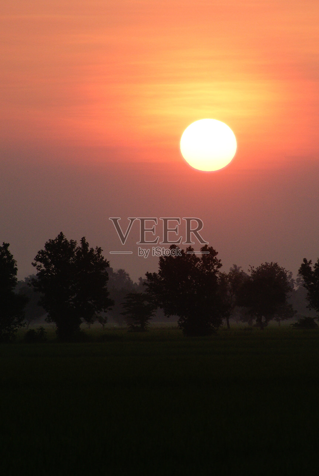田野和日出照片摄影图片