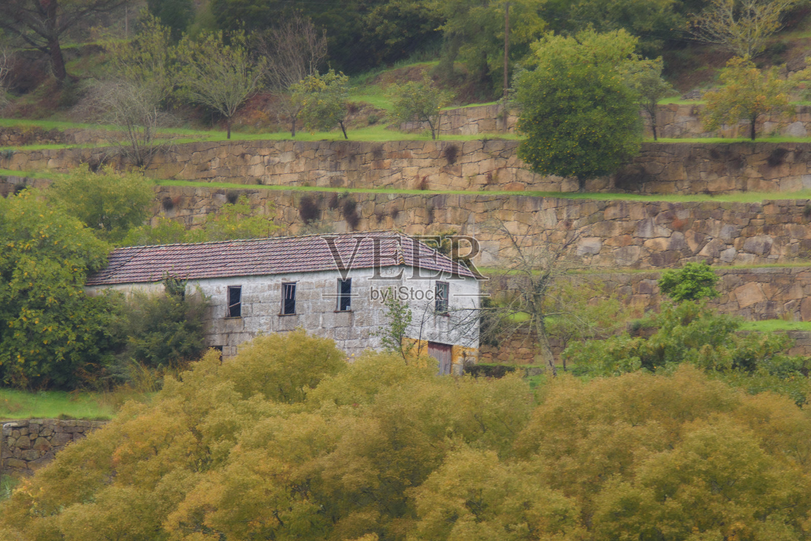 杜罗河谷照片摄影图片