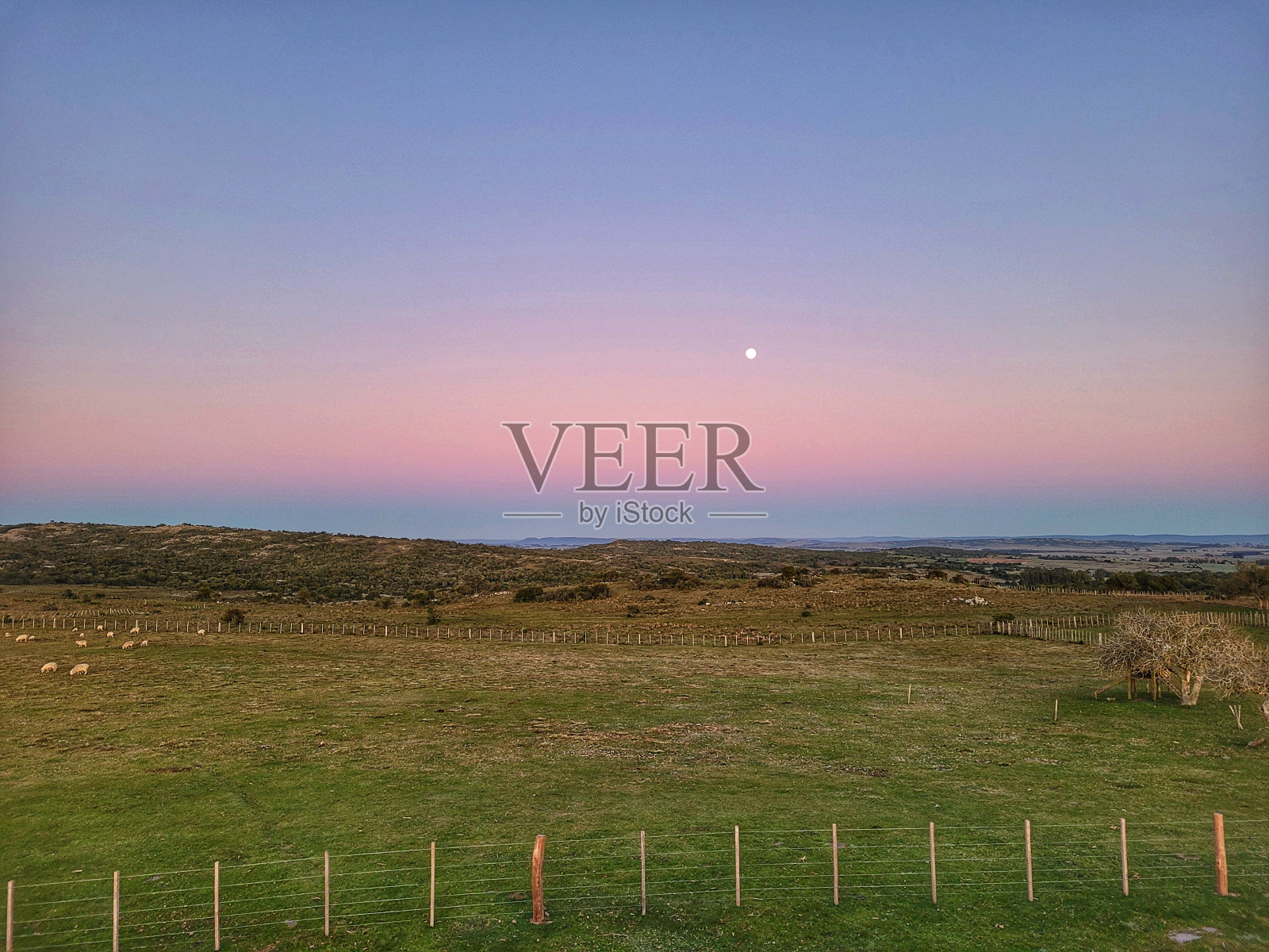 乌拉圭田野上的满月照片摄影图片